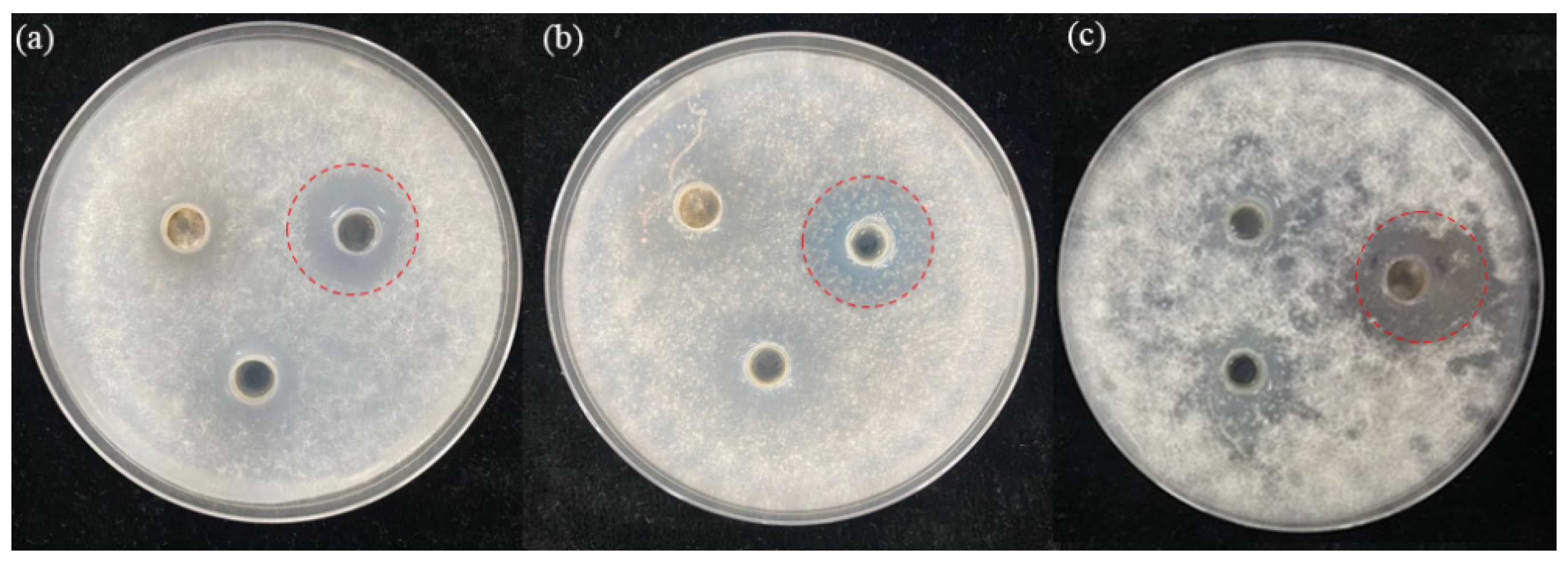 Horticulturae 10 00546 g001