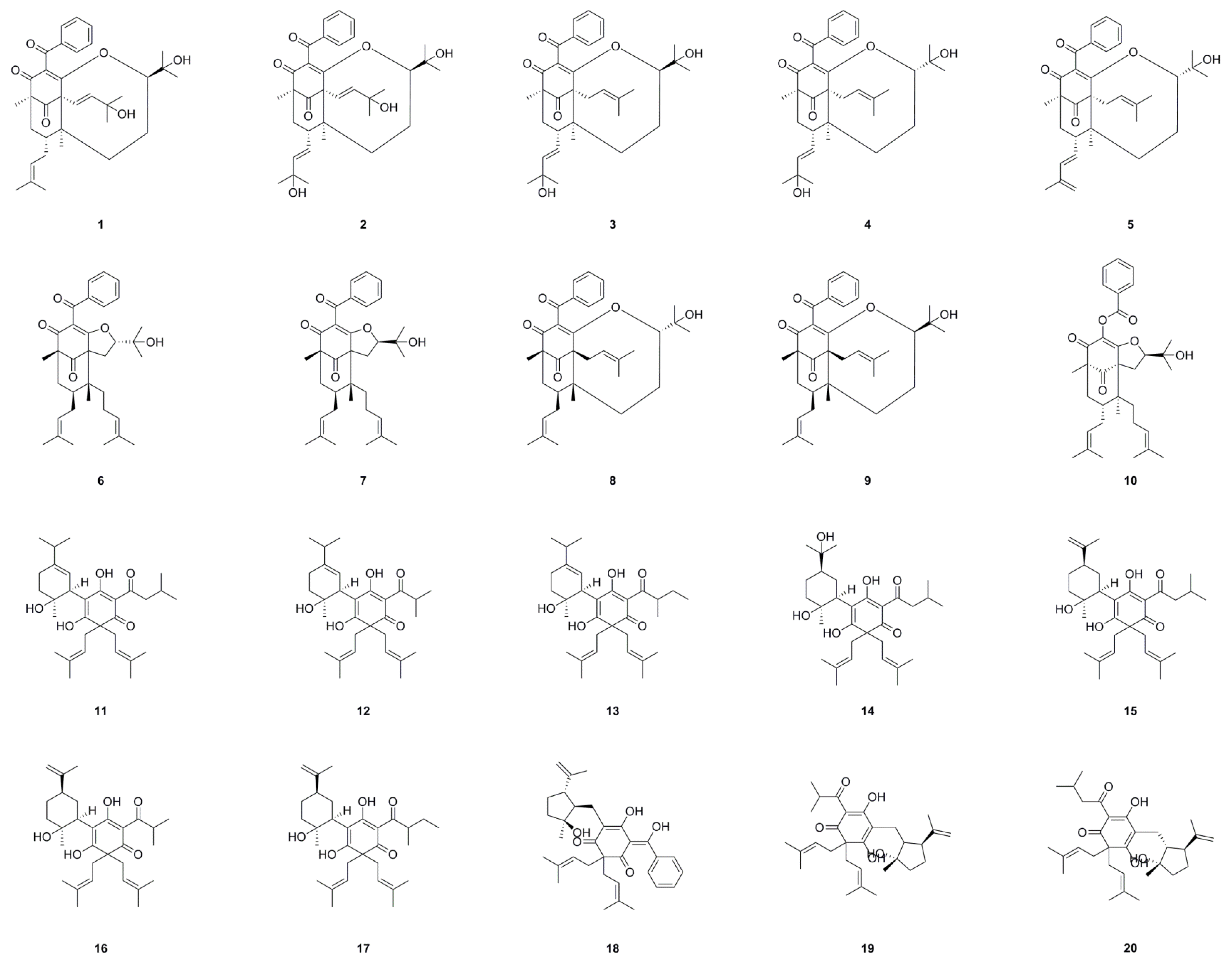 Horticulturae 10 00555 g003a