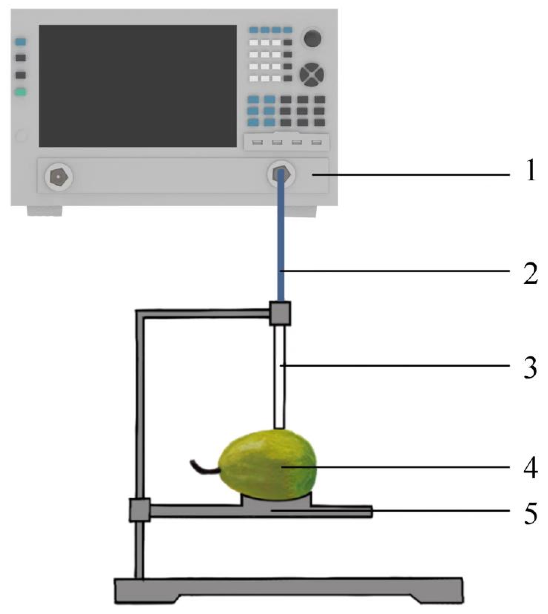 Horticulturae 10 00572 g001