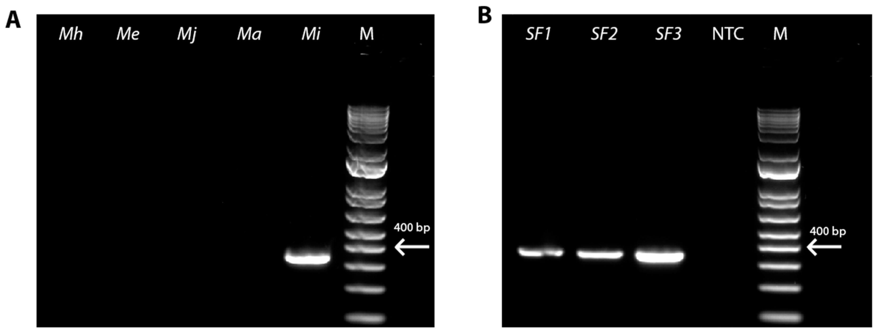 Horticulturae 10 00583 g001 Horticulturae 10 00583 g001