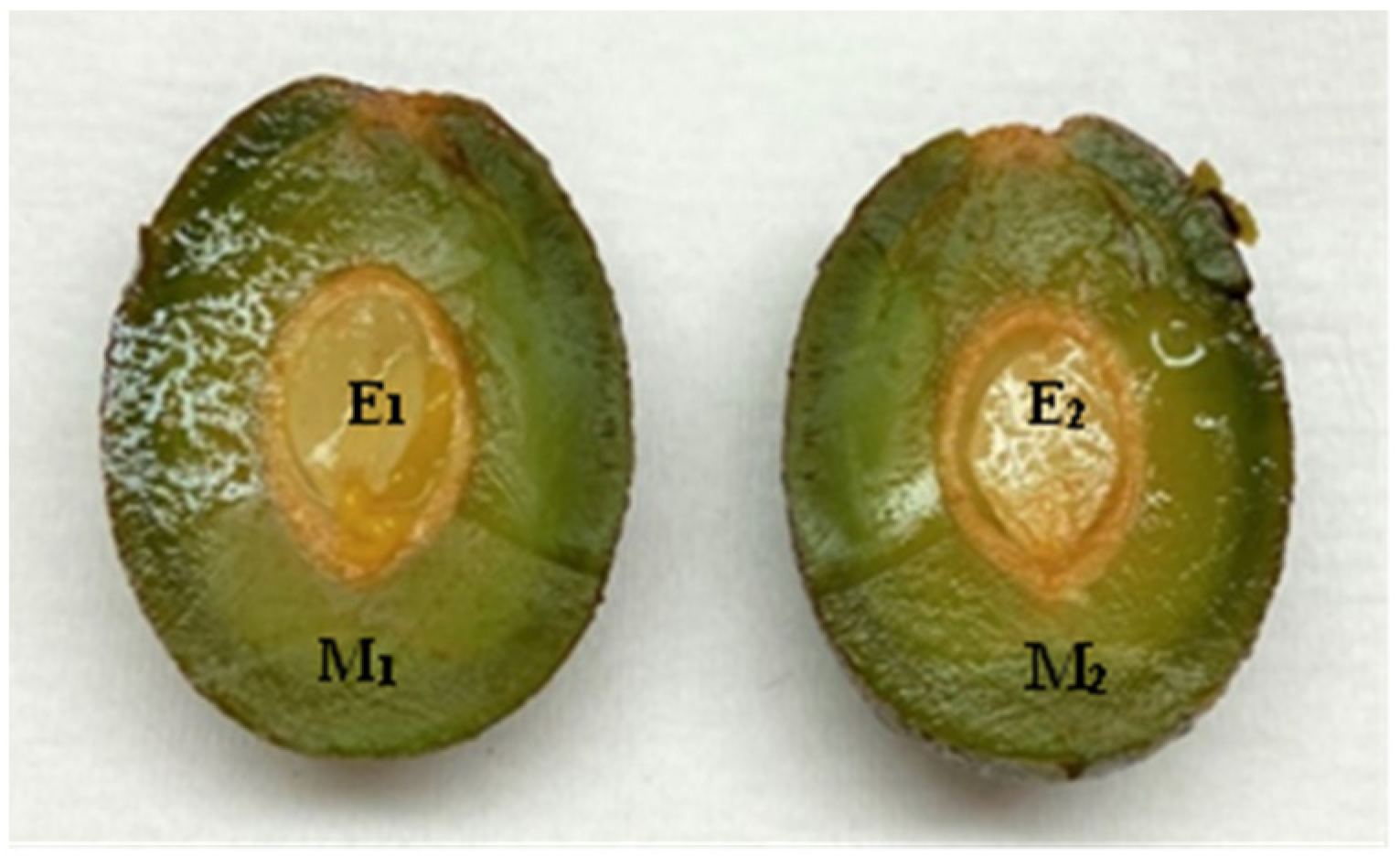 Horticulturae 10 00591 g001