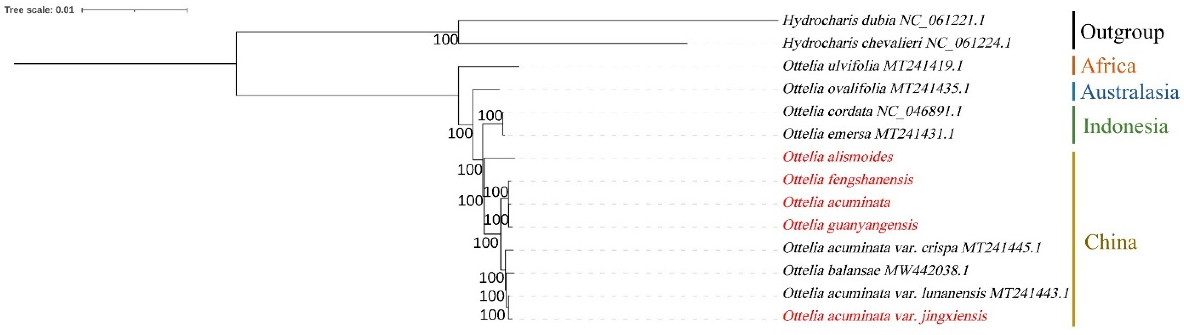 Horticulturae 10 00603 g005
