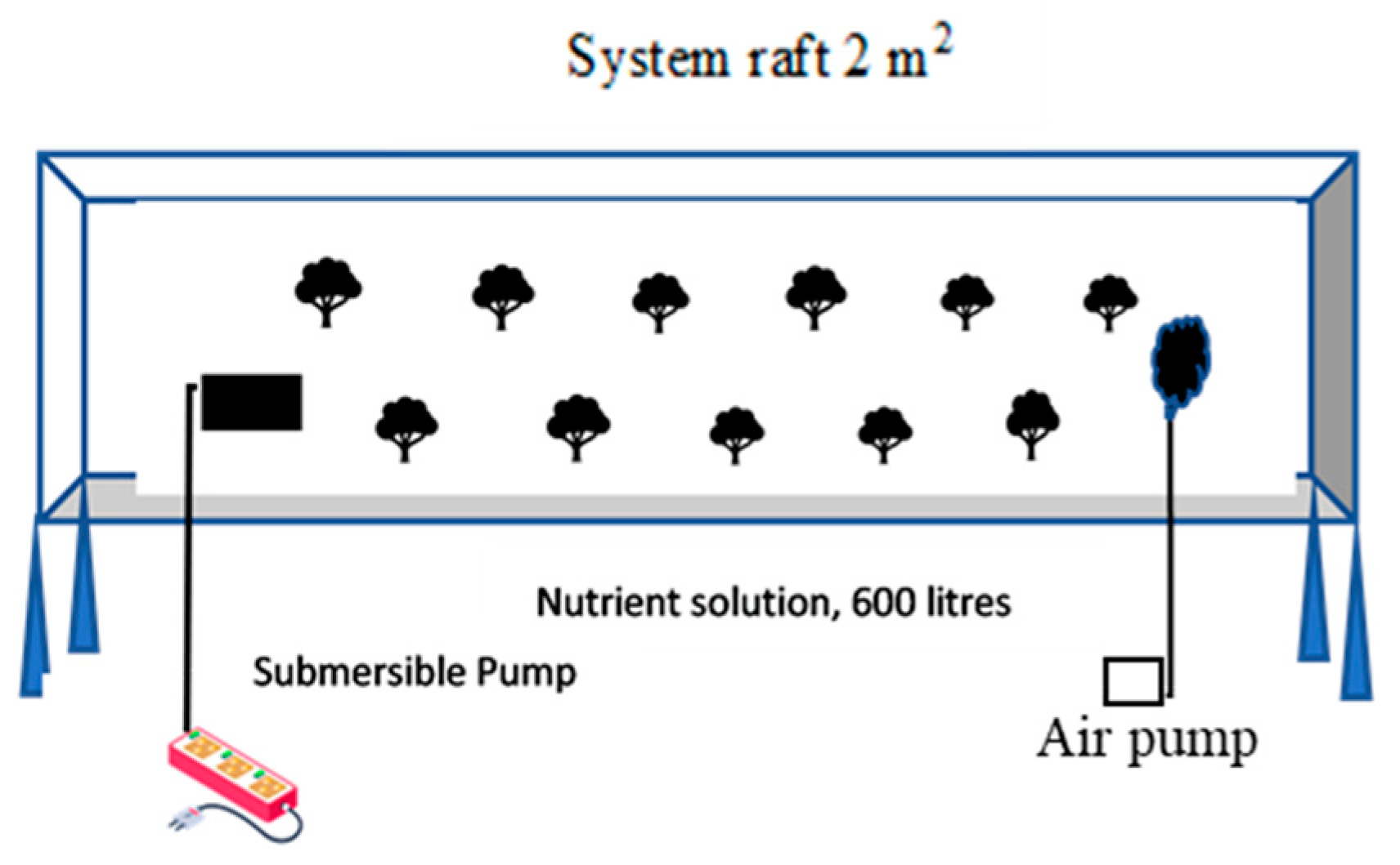 Horticulturae 10 00605 g002