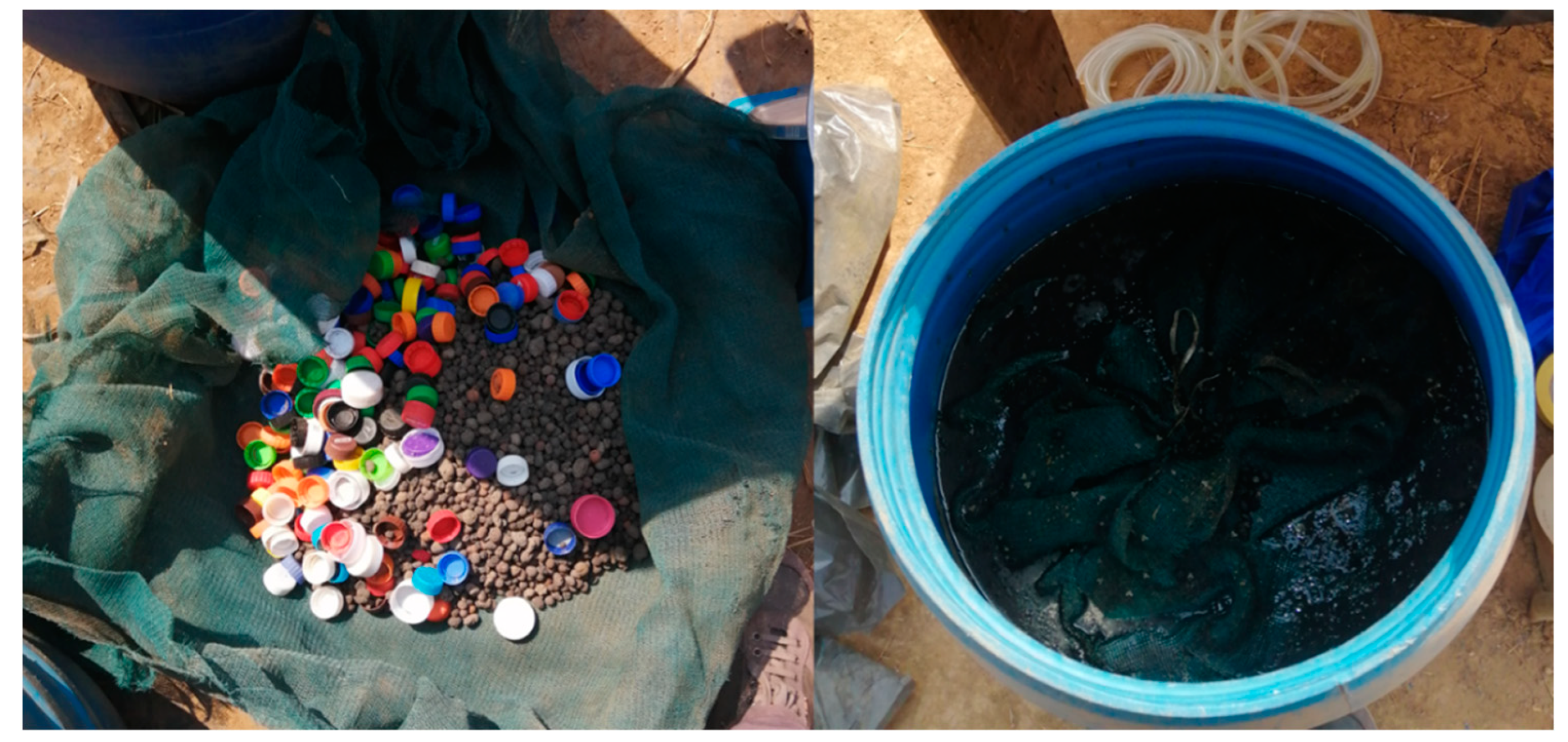 Horticulturae 10 00605 g003