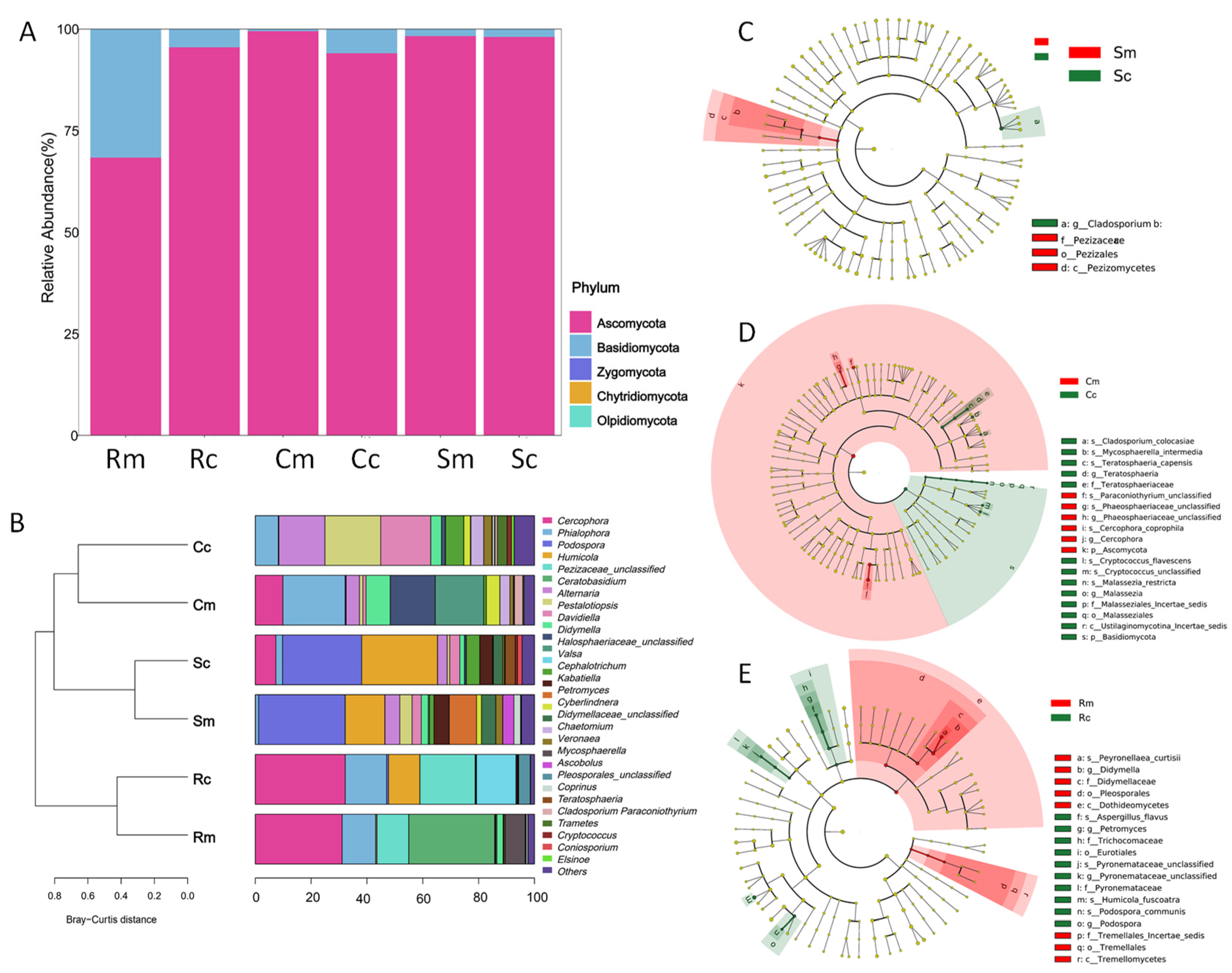 Horticulturae 10 00607 g007