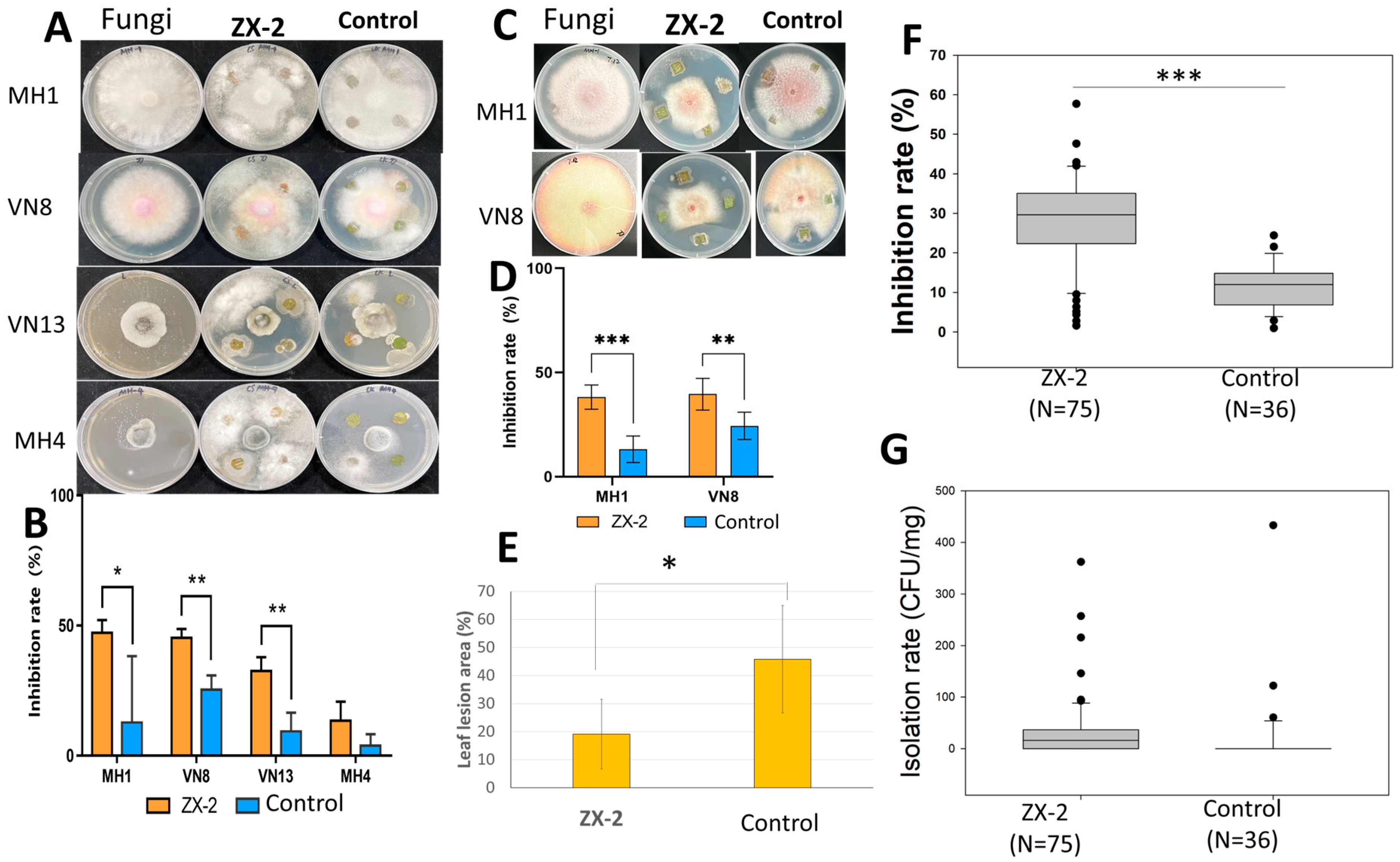 Horticulturae 10 00607 g009