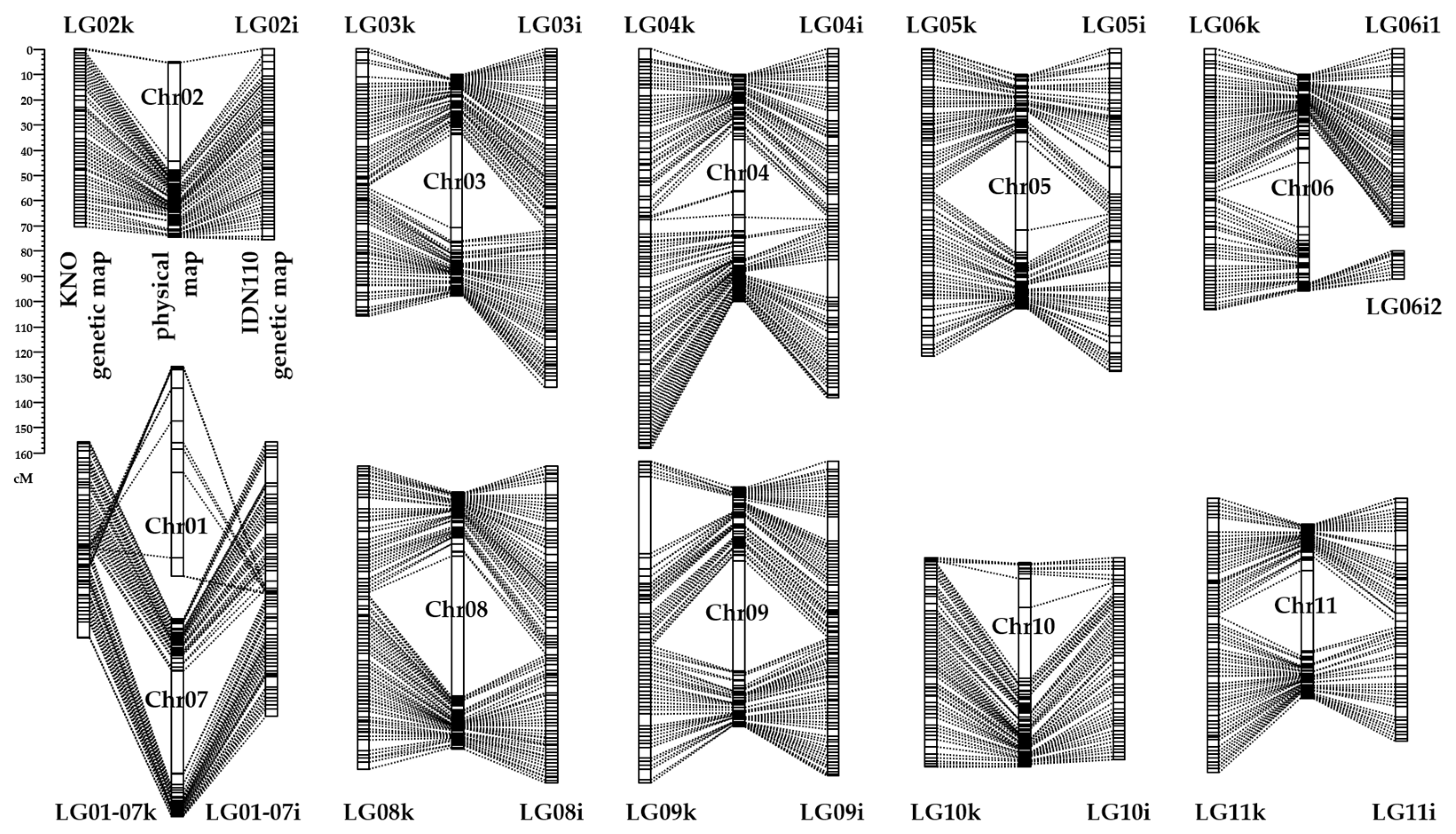 Horticulturae 10 00608 g001