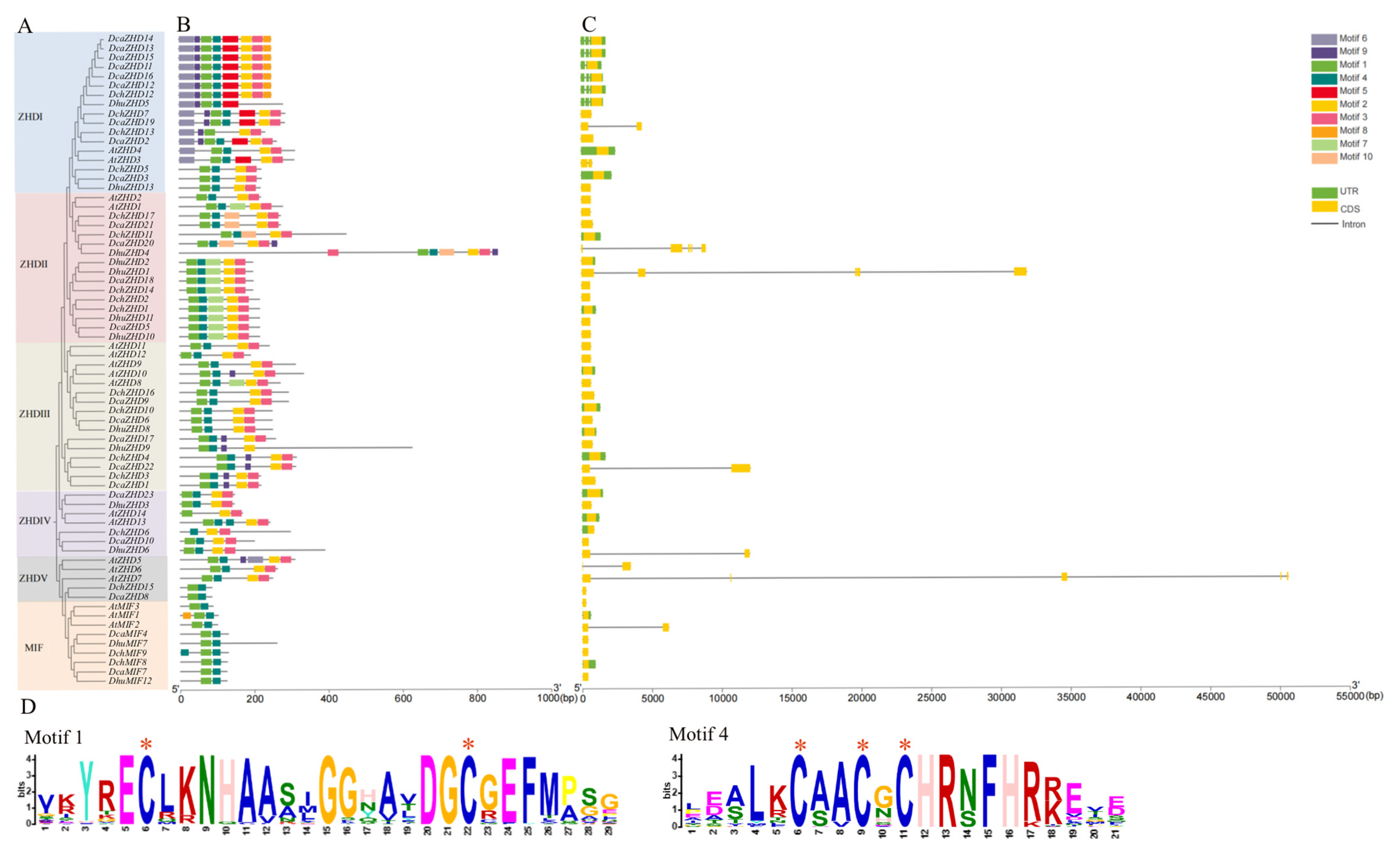Horticulturae 10 00610 g002