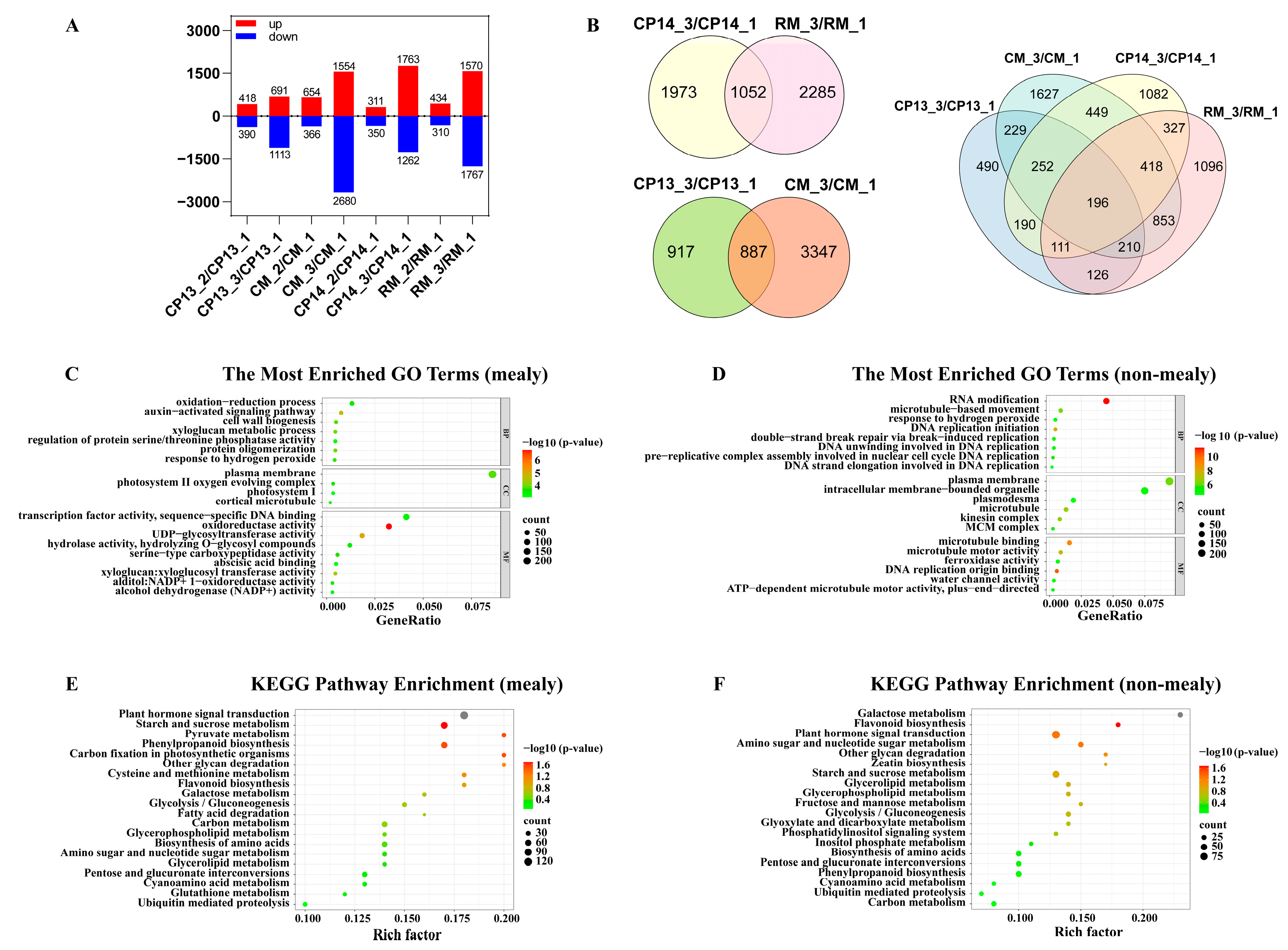 Horticulturae 10 00615 g005