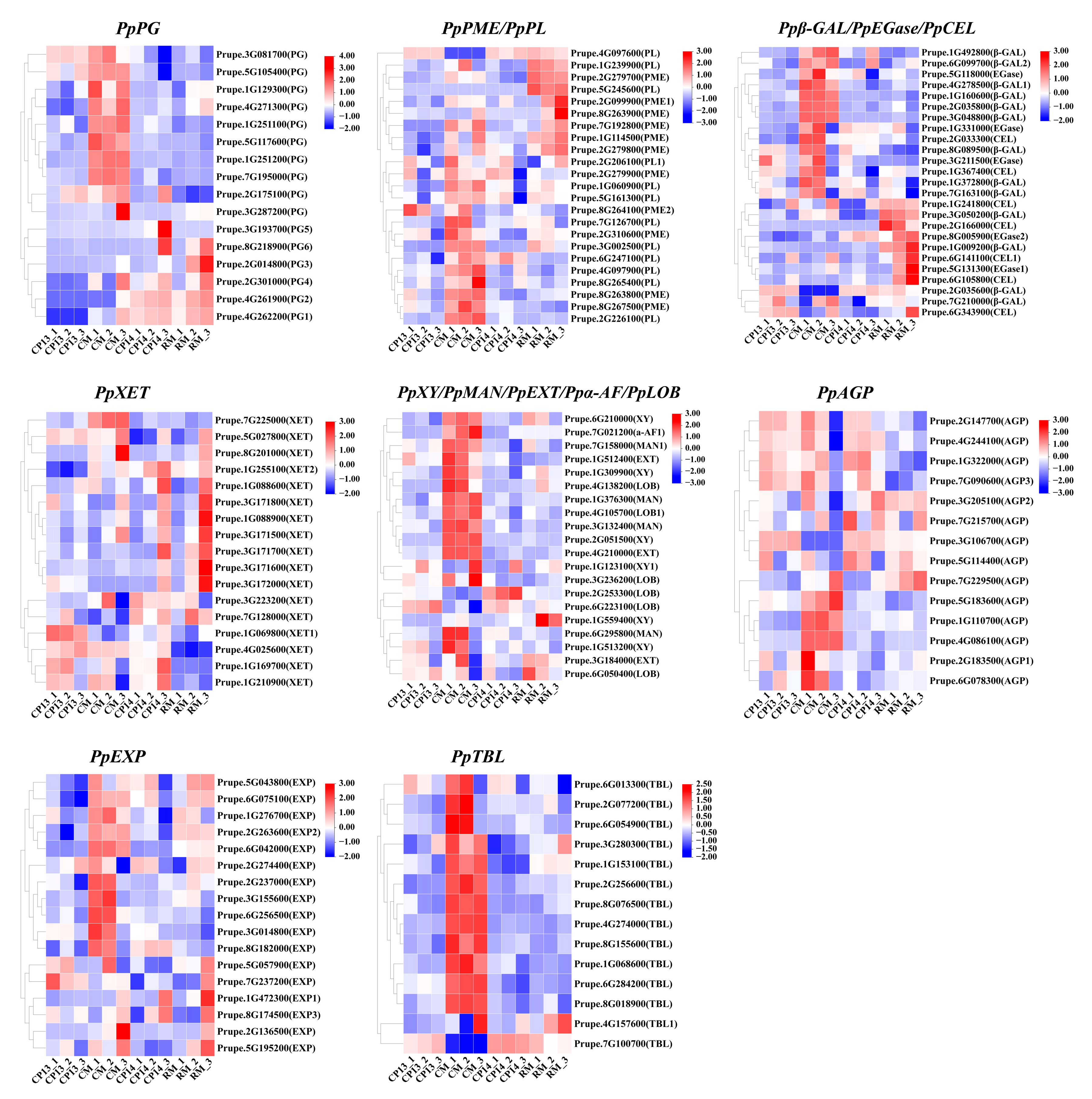 Horticulturae 10 00615 g006
