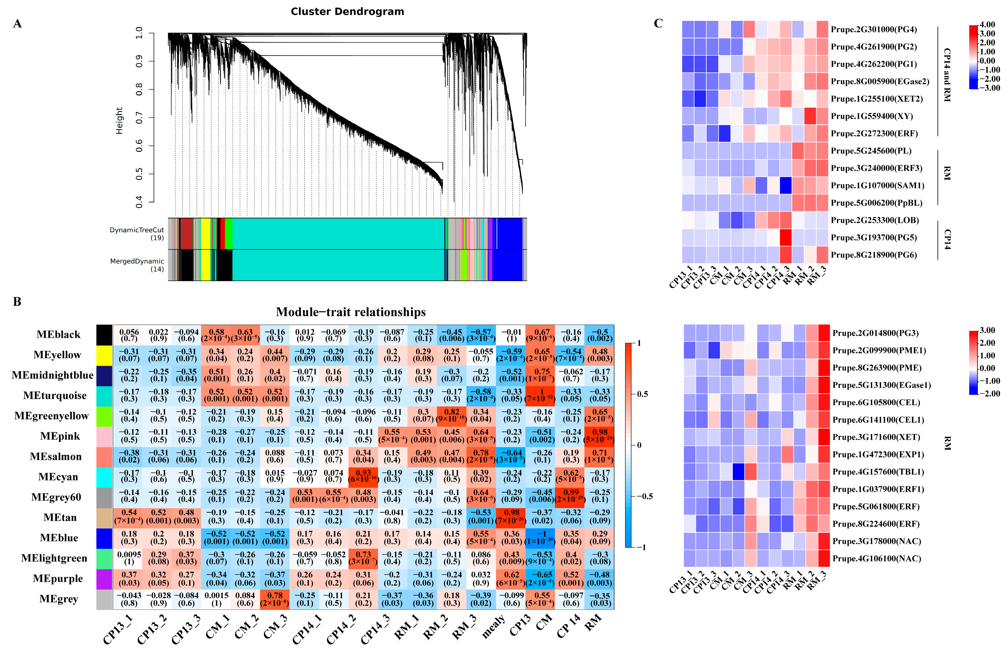 Horticulturae 10 00615 g008