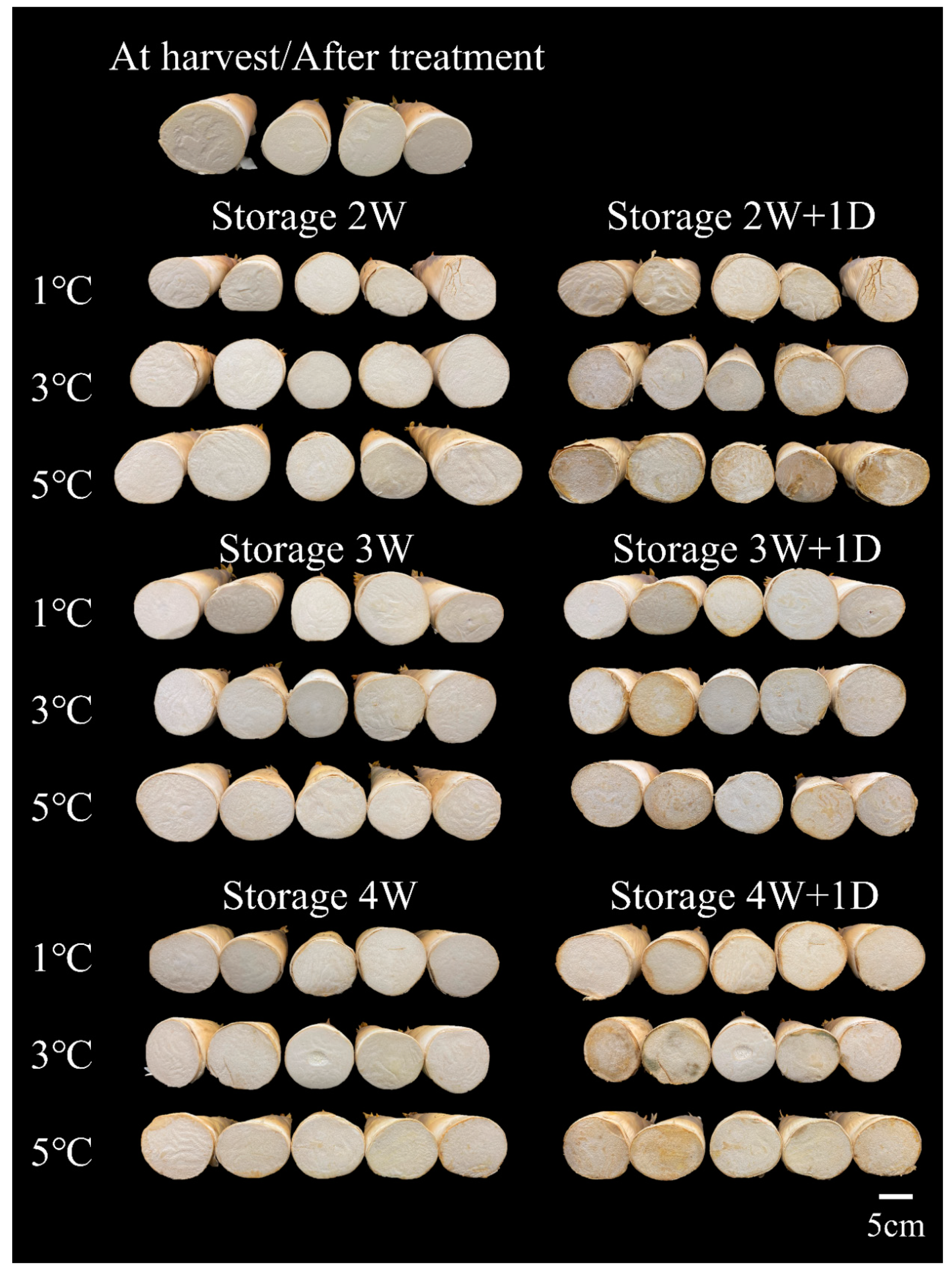 Horticulturae 10 00616 g001