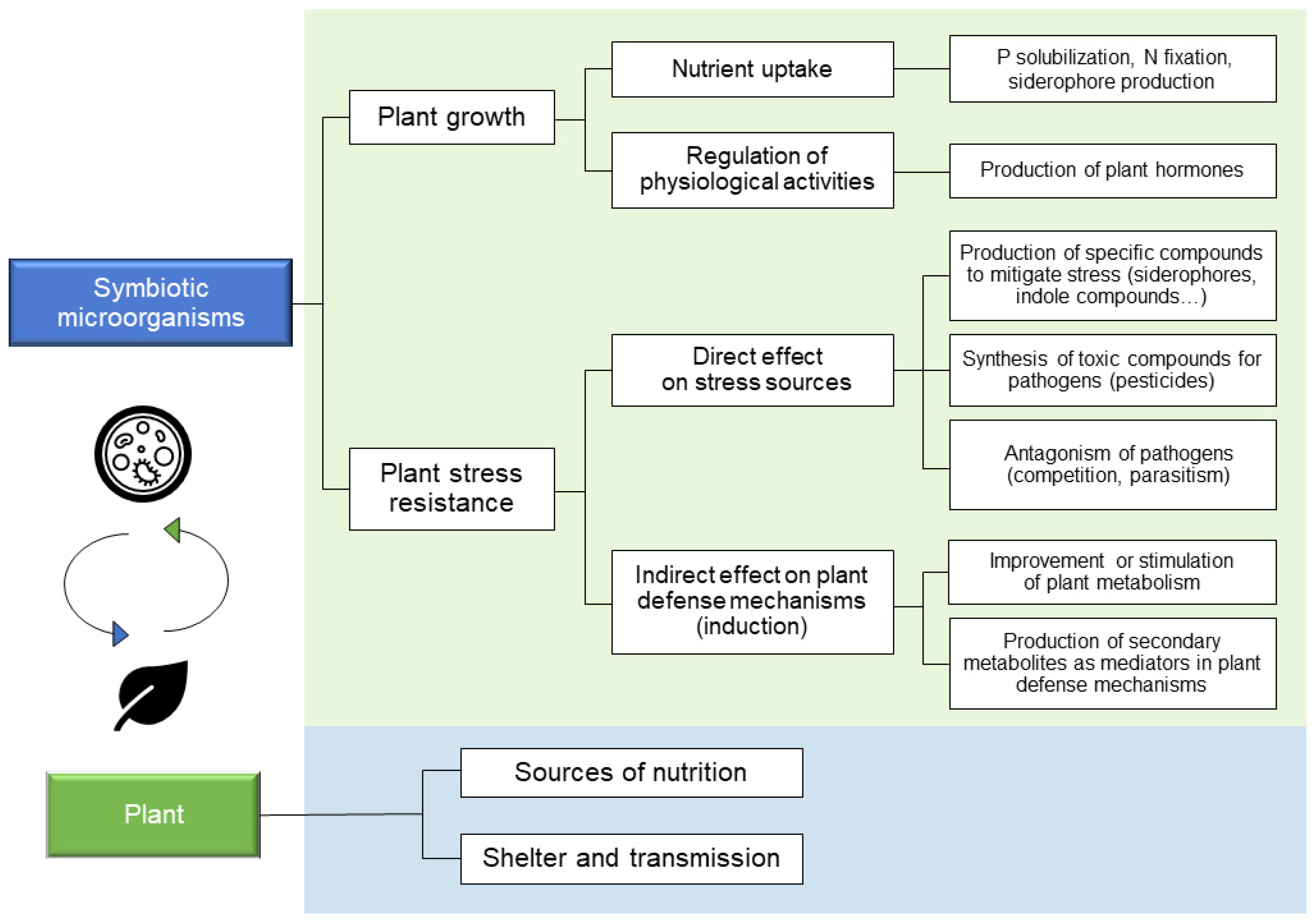 Horticulturae 10 00621 g002
