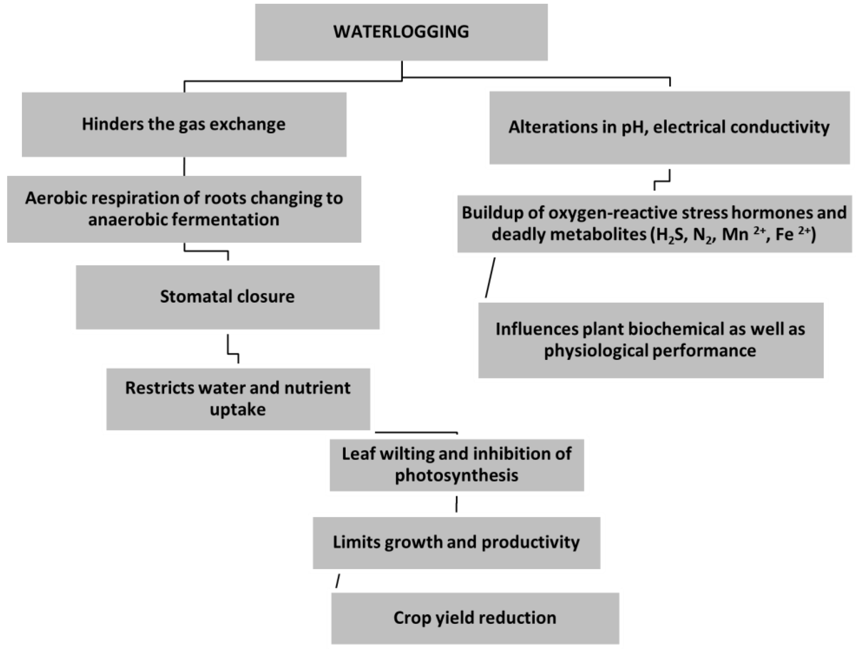 Horticulturae 10 00623 g001