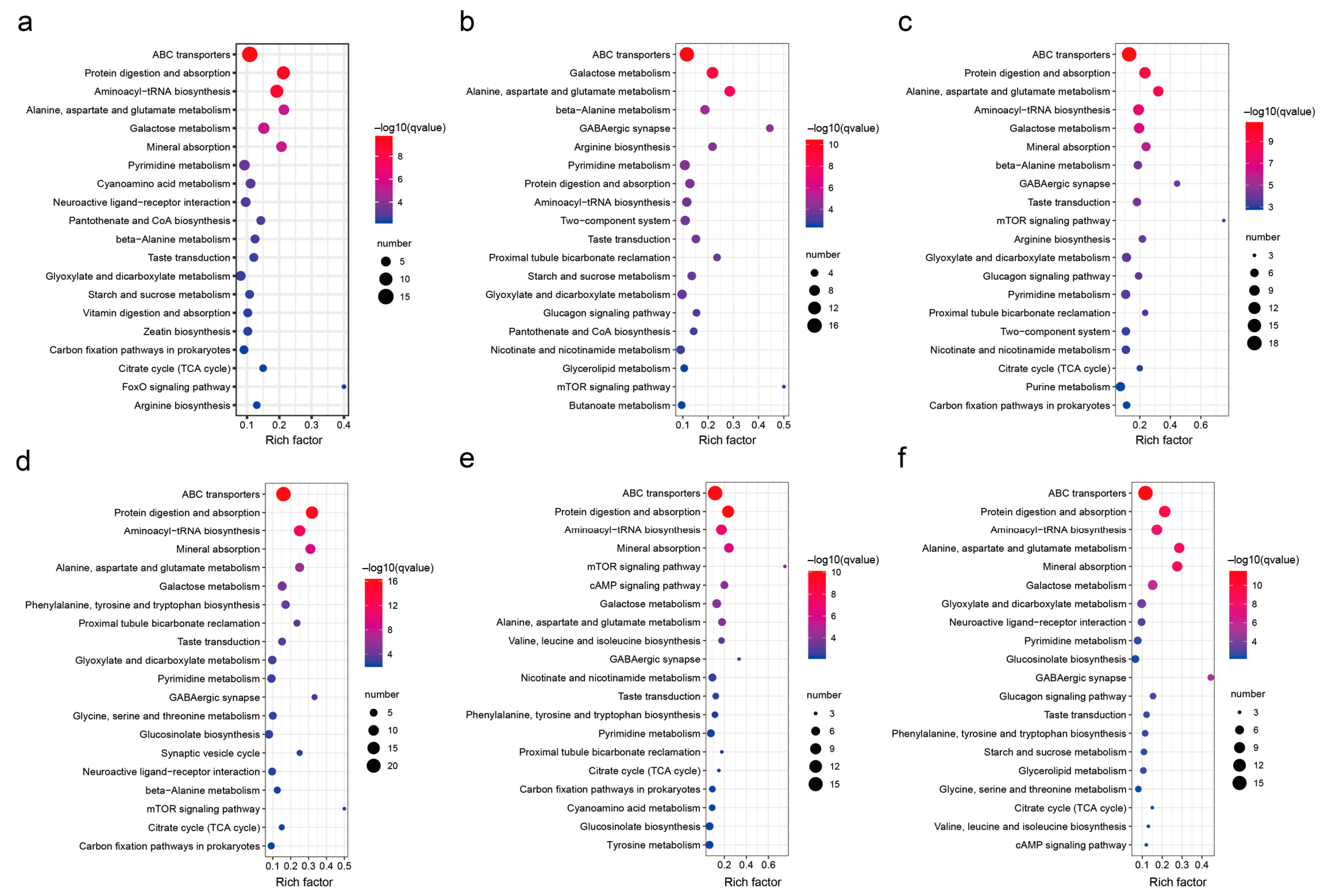 Horticulturae 10 00636 g005