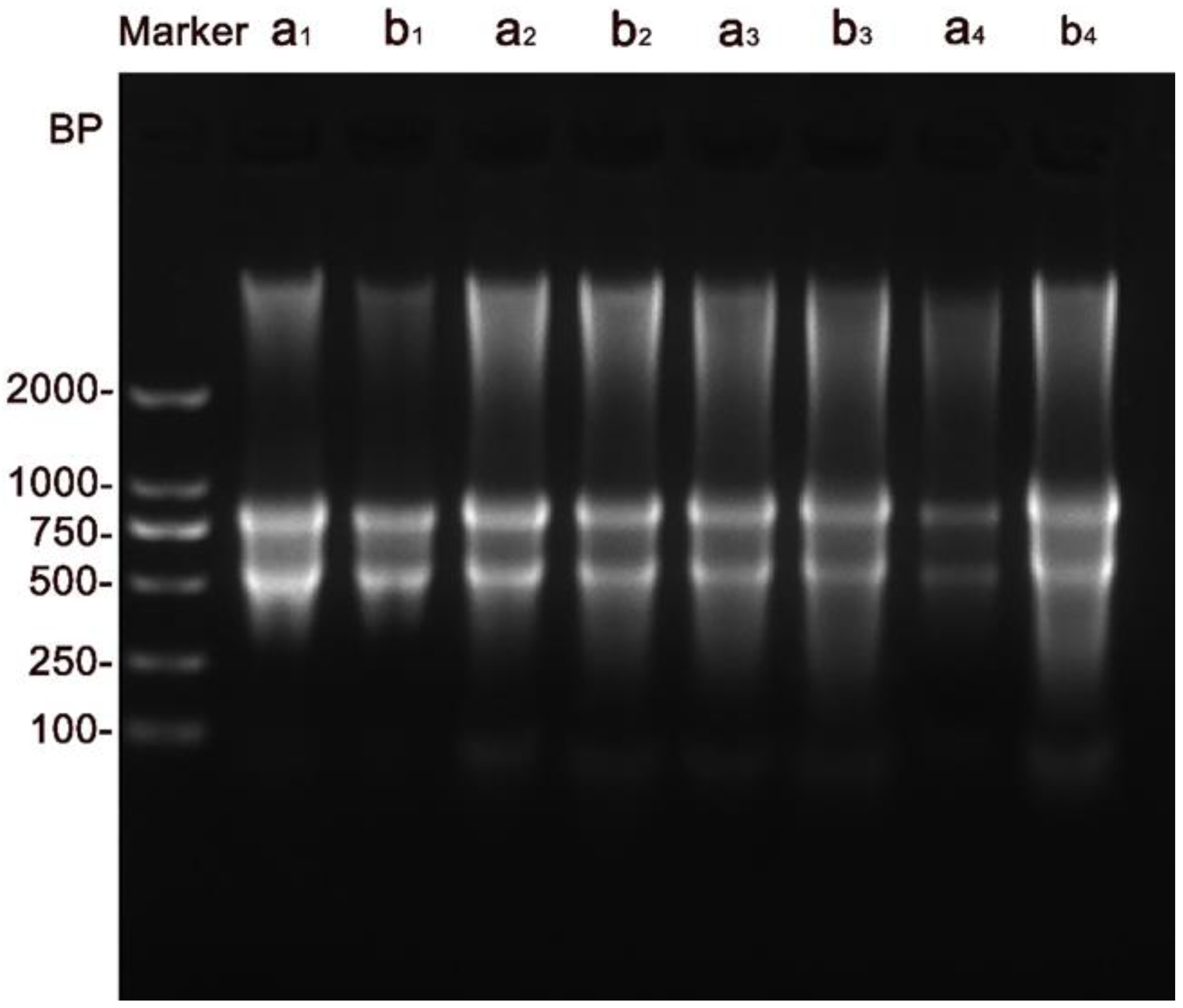 Horticulturae 10 00637 g006
