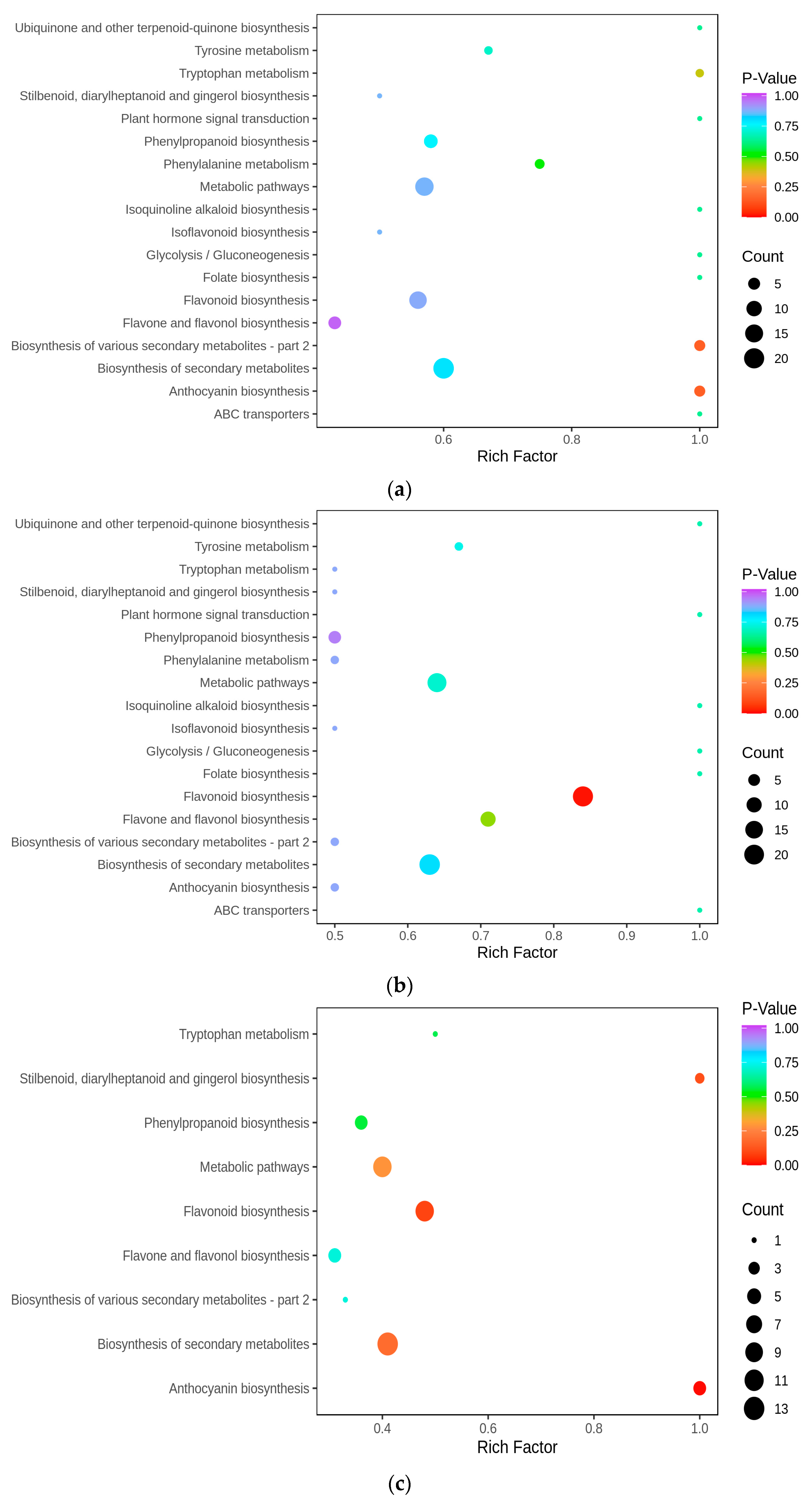 Horticulturae 10 00651 g003a