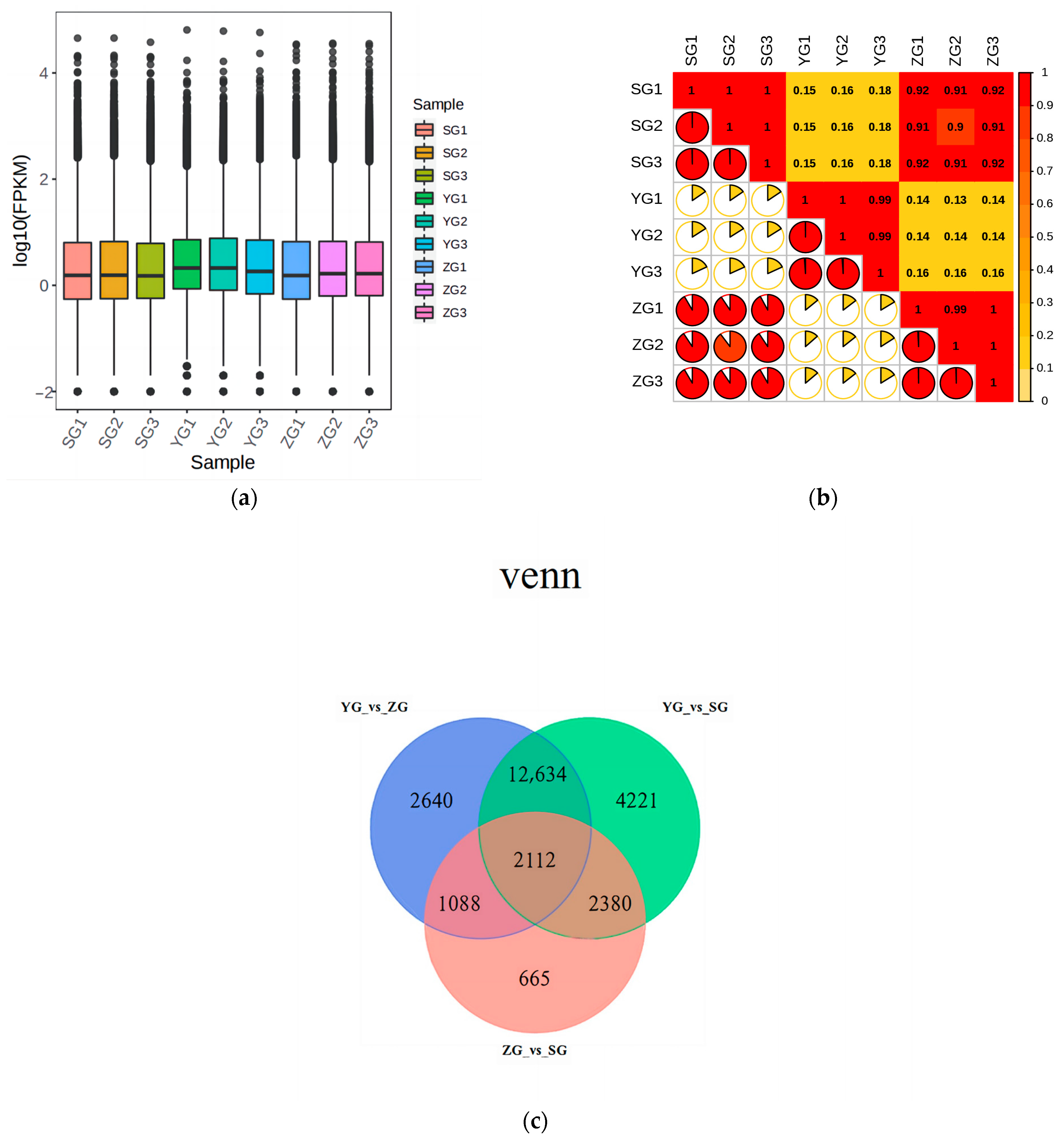 Horticulturae 10 00651 g004a
