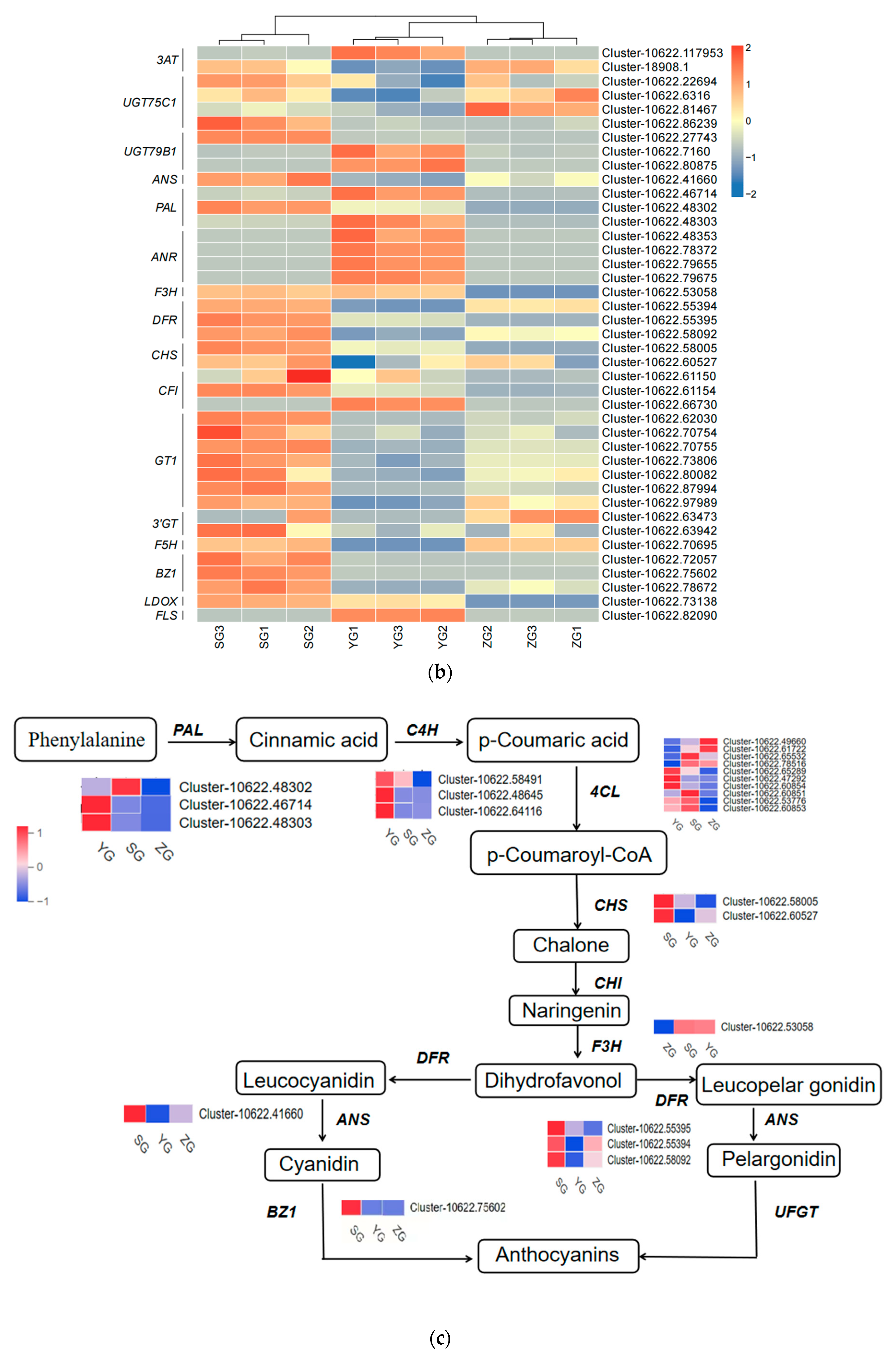 Horticulturae 10 00651 g005b