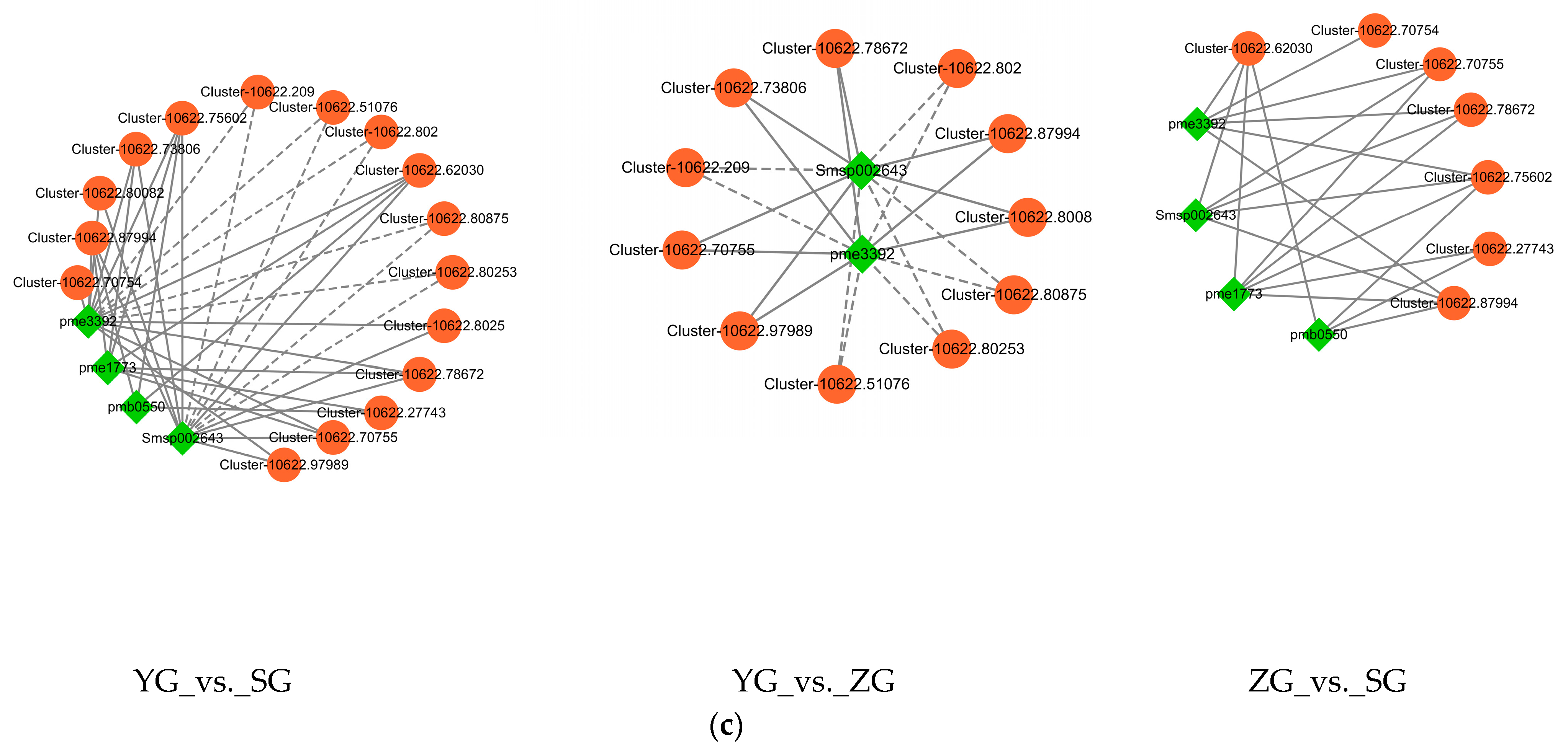 Horticulturae 10 00651 g007b