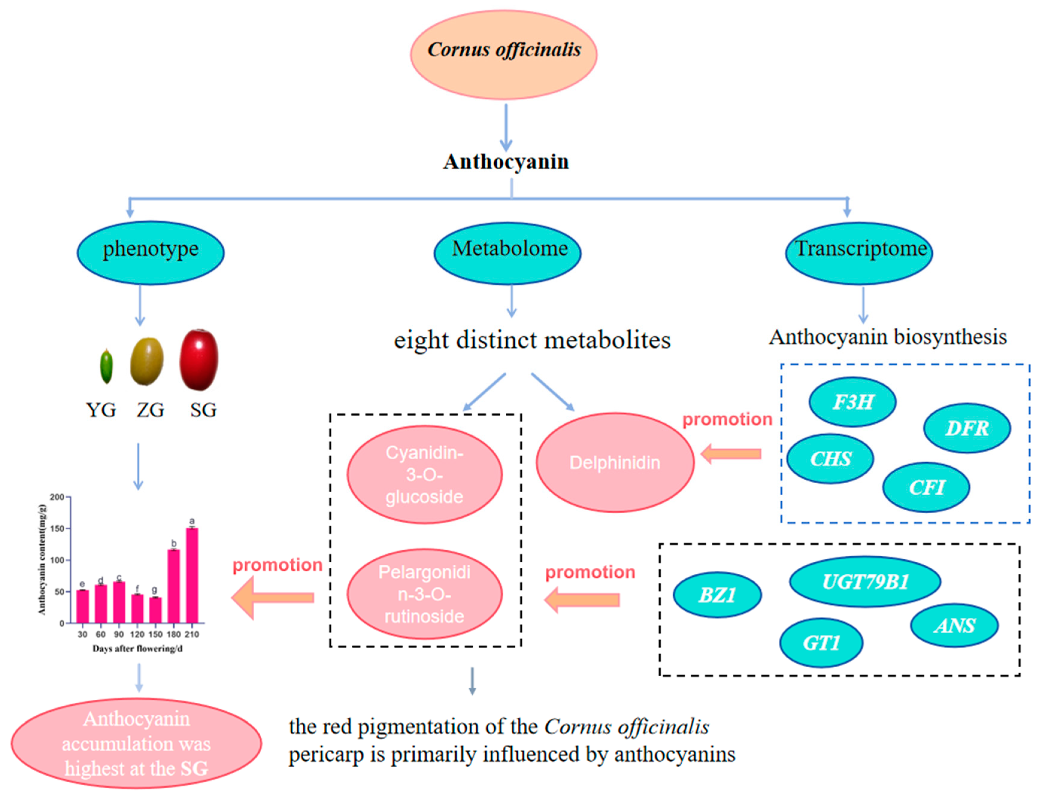 Horticulturae 10 00651 g008