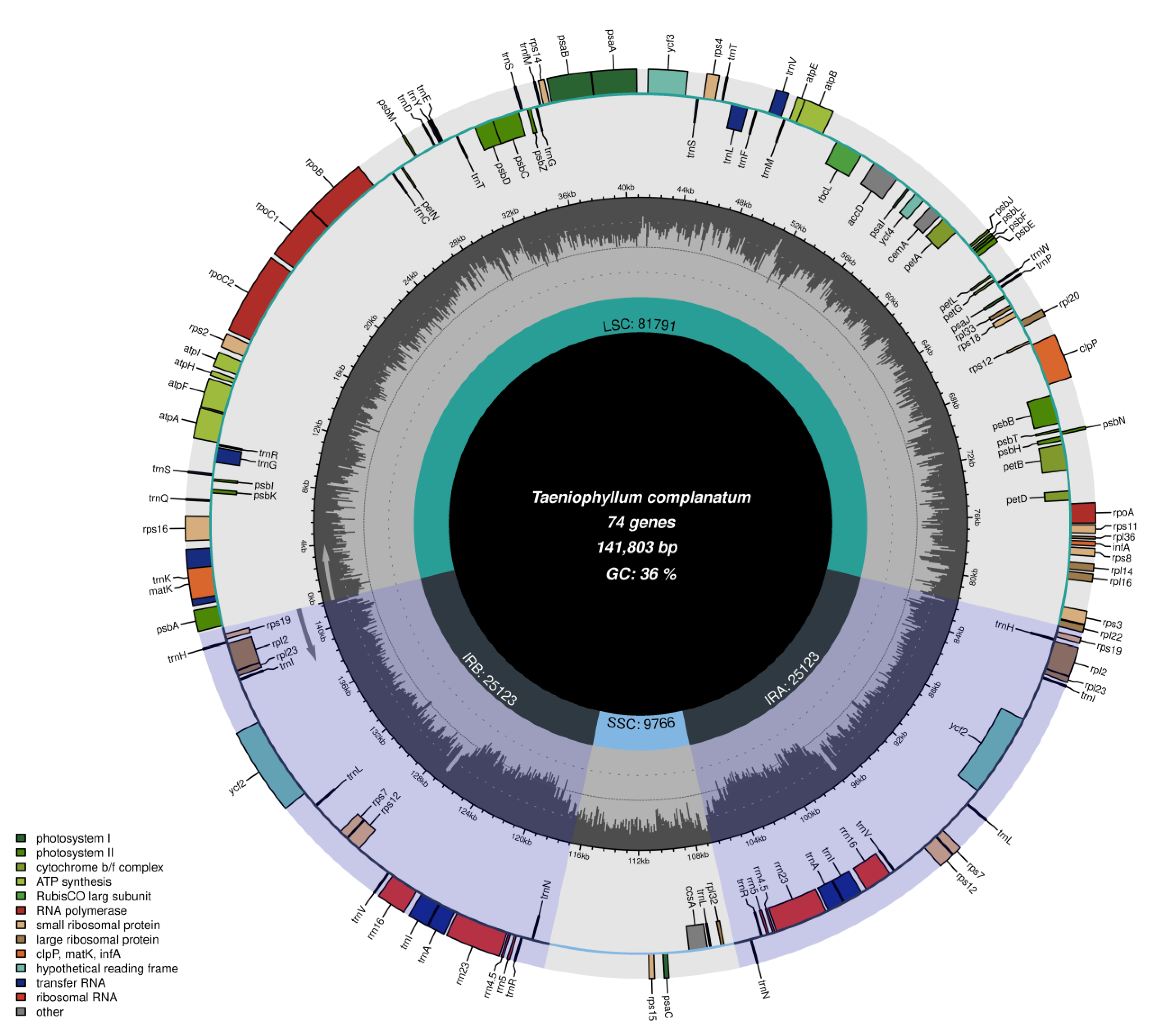 Horticulturae 10 00660 g001