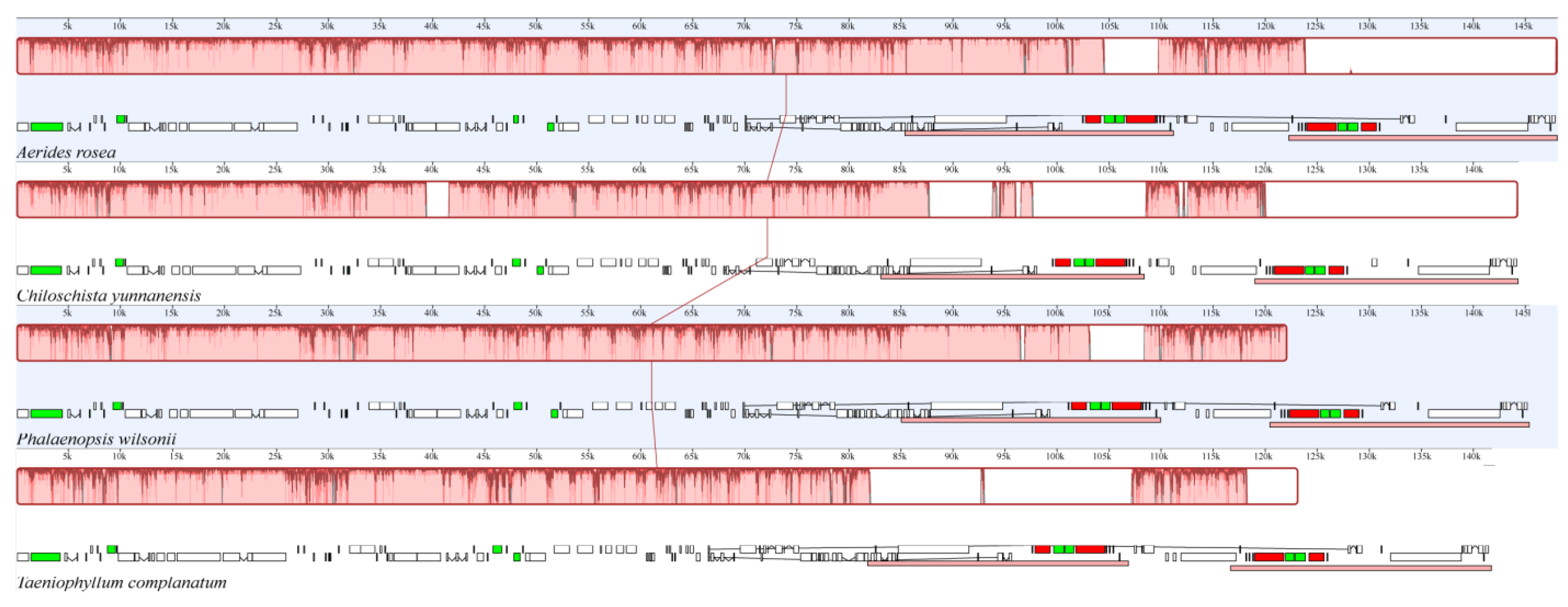 Horticulturae 10 00660 g003