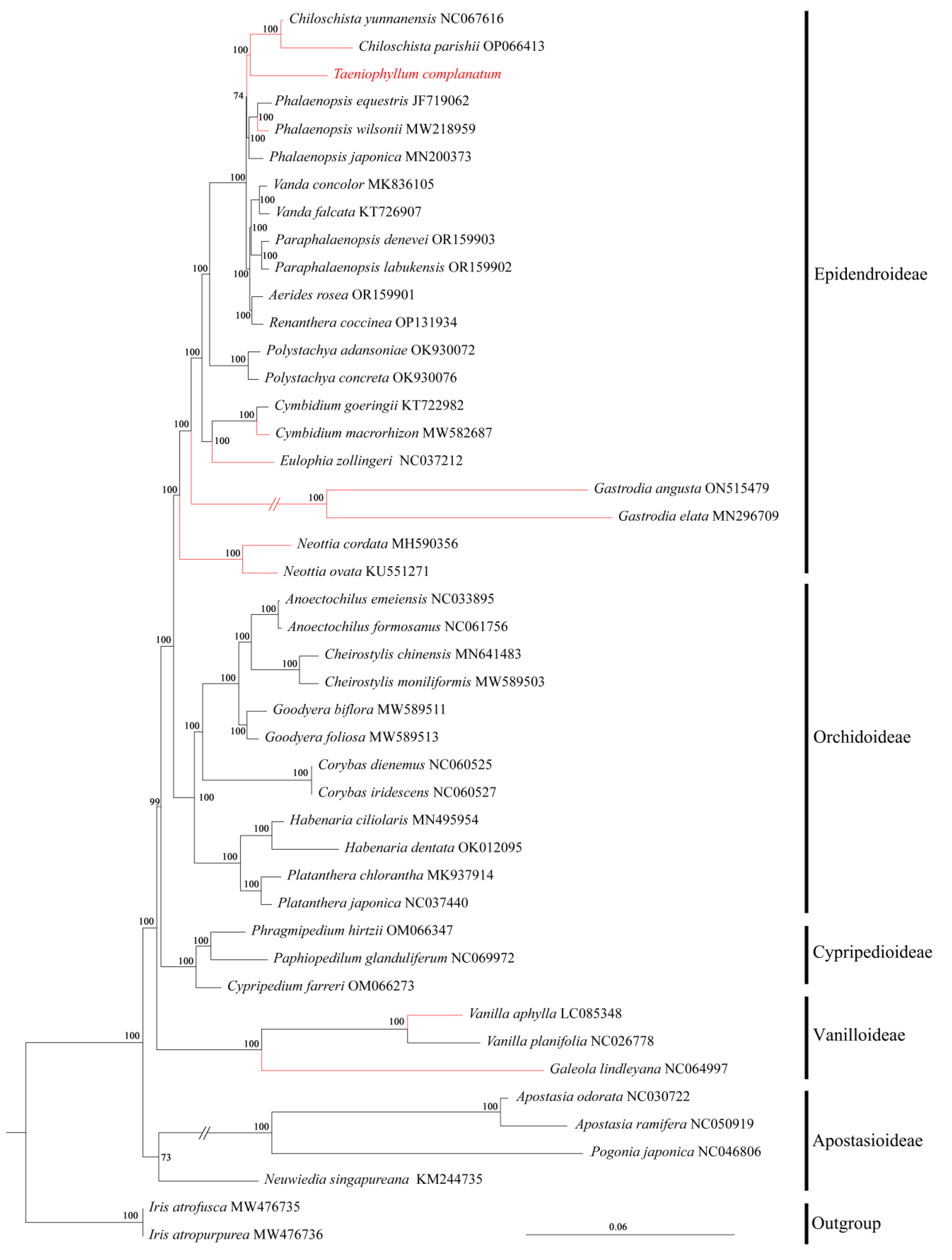 Horticulturae 10 00660 g007