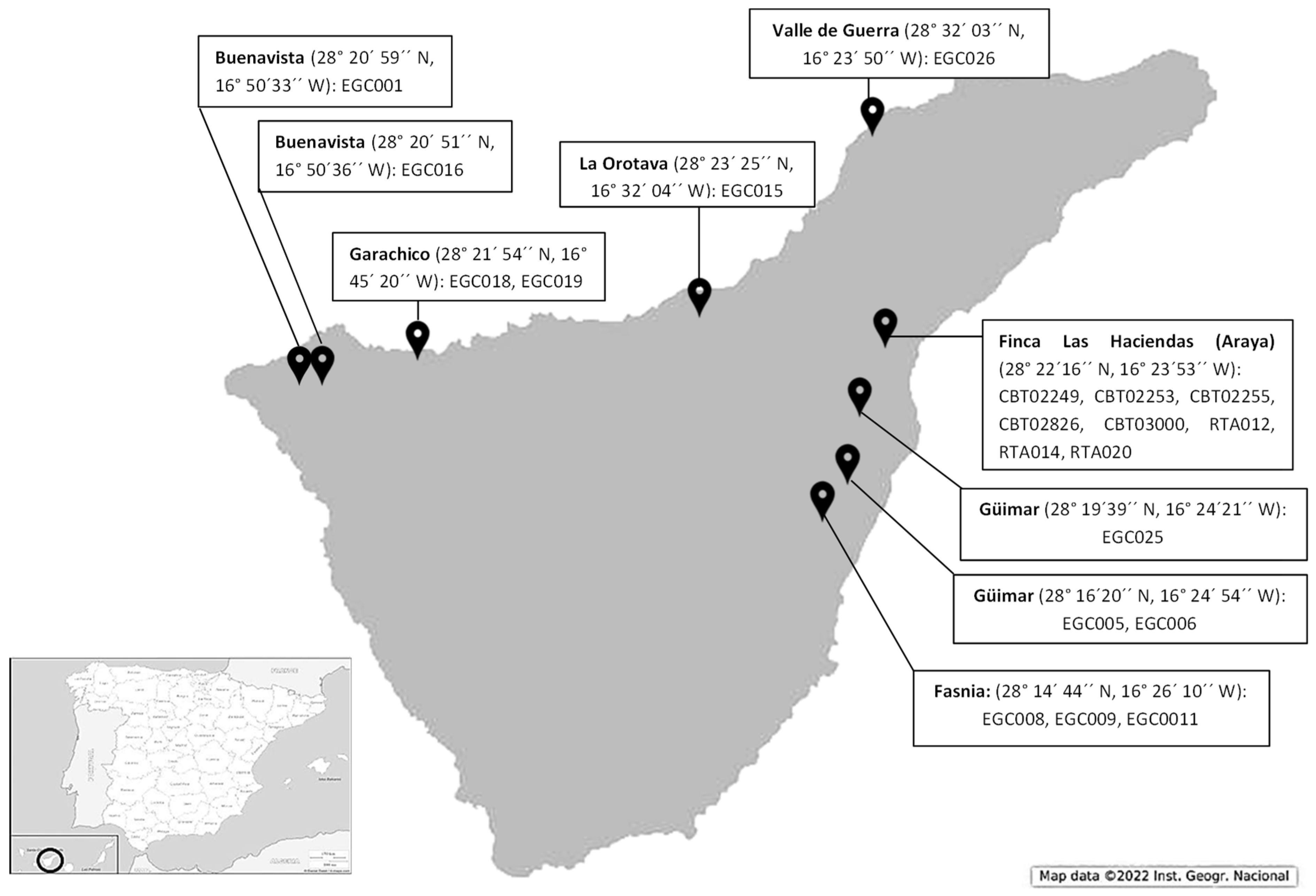 Horticulturae 10 00662 g001