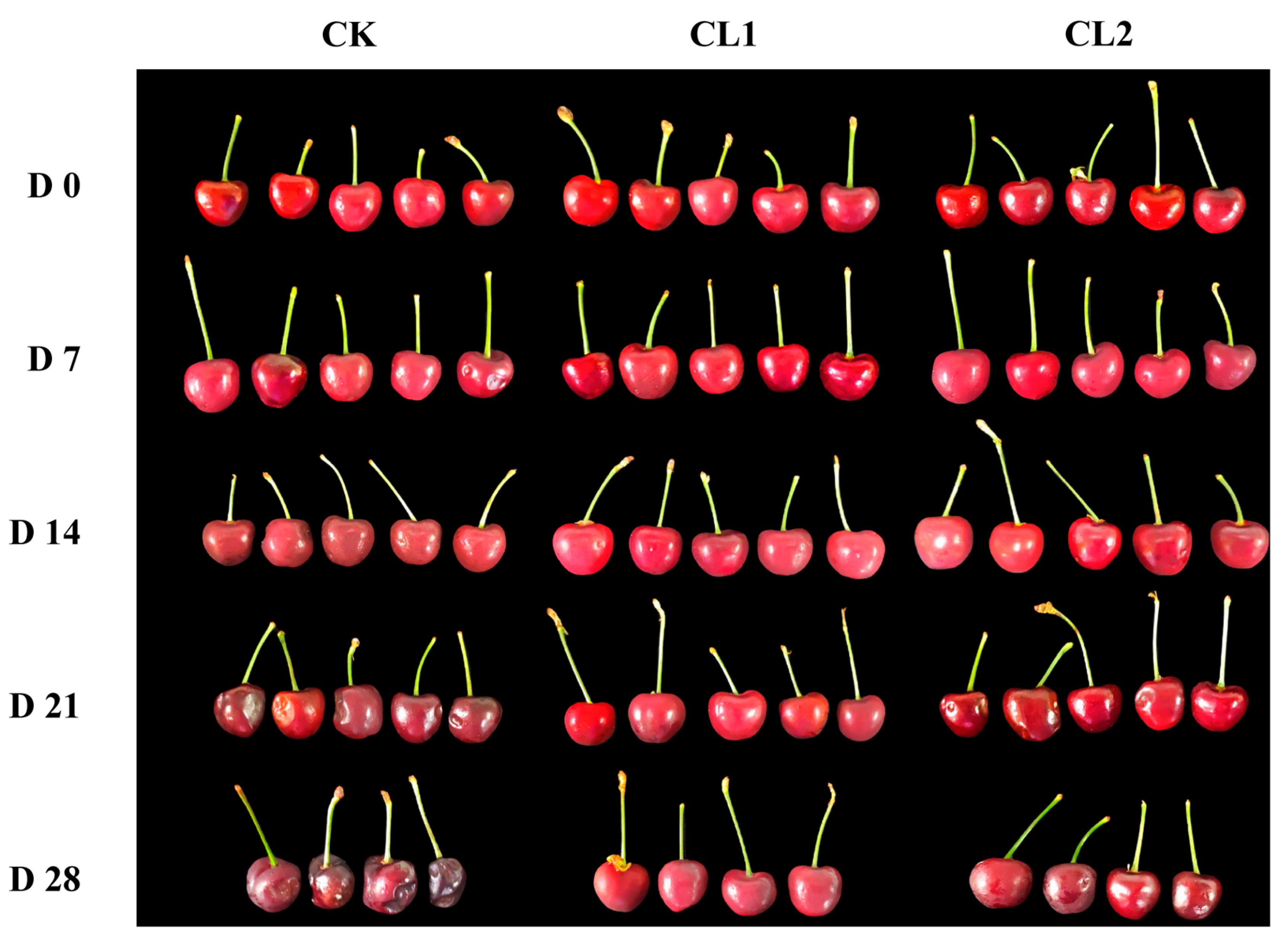 Horticulturae 10 00675 g001