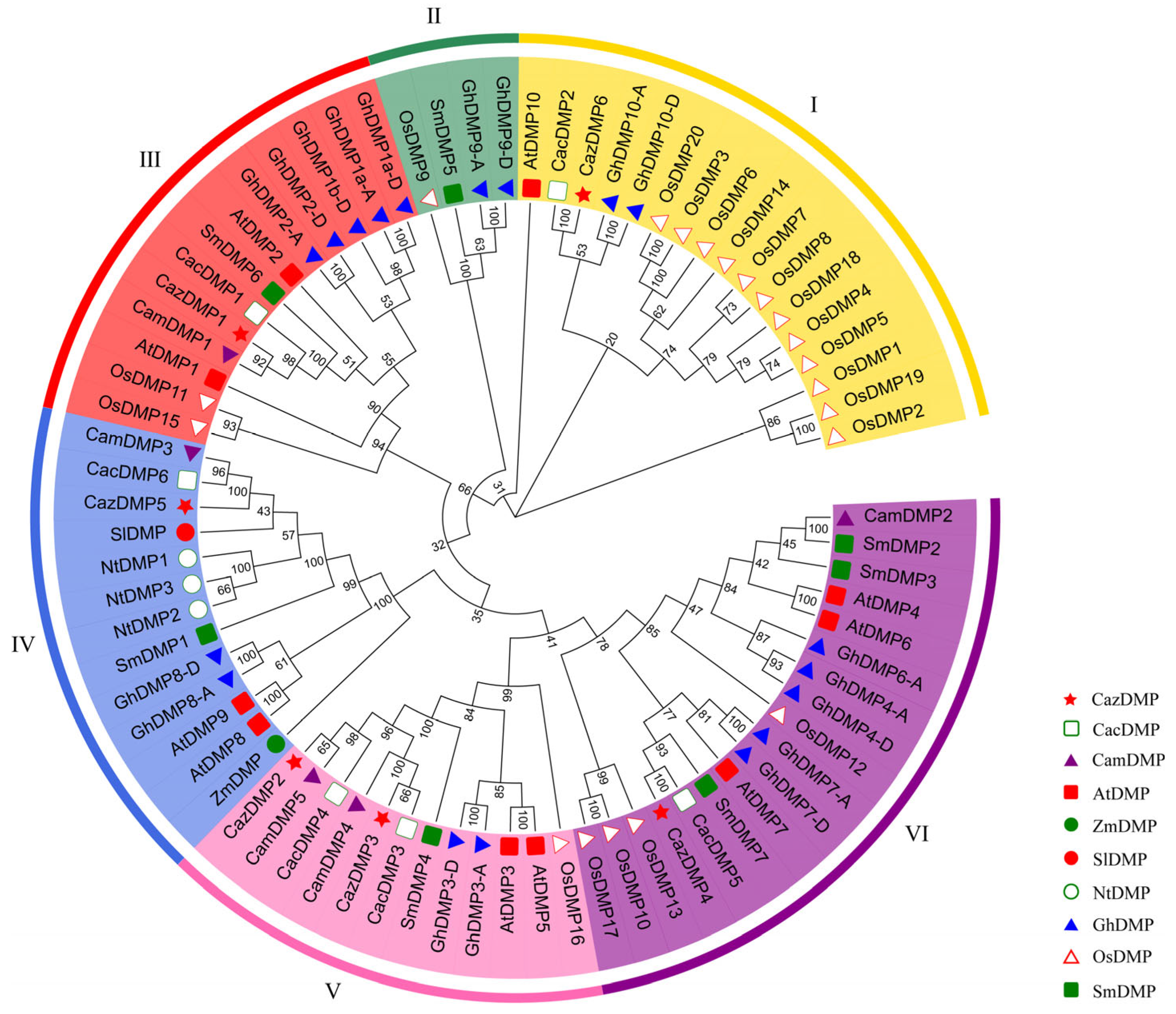 Horticulturae 10 00679 g001