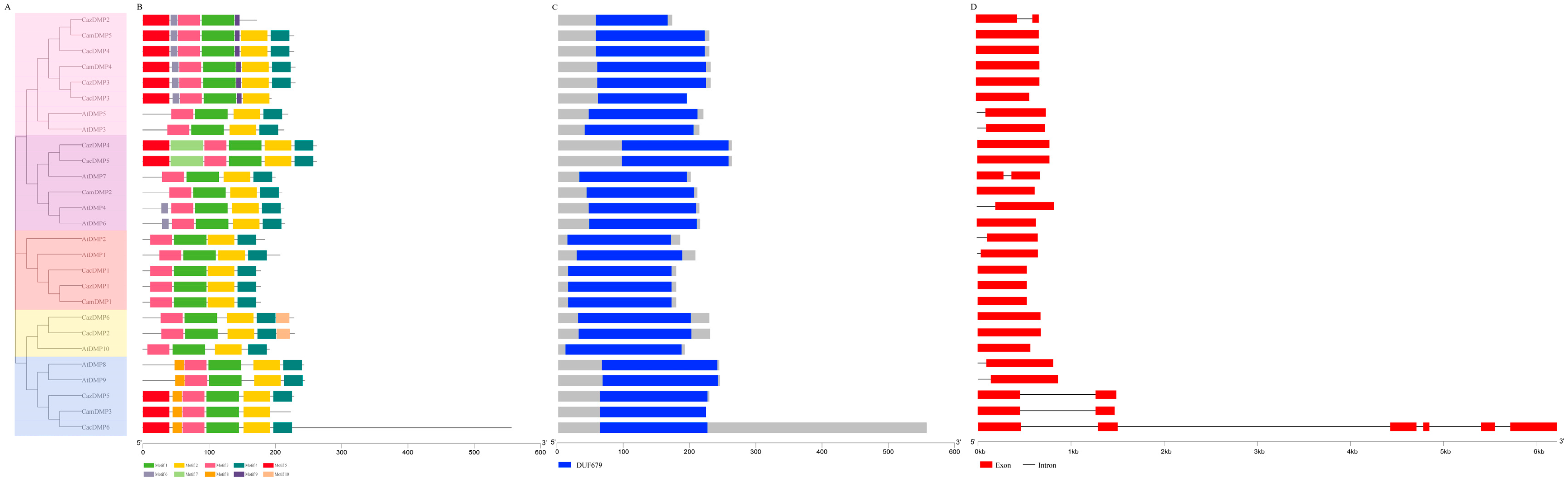Horticulturae 10 00679 g002