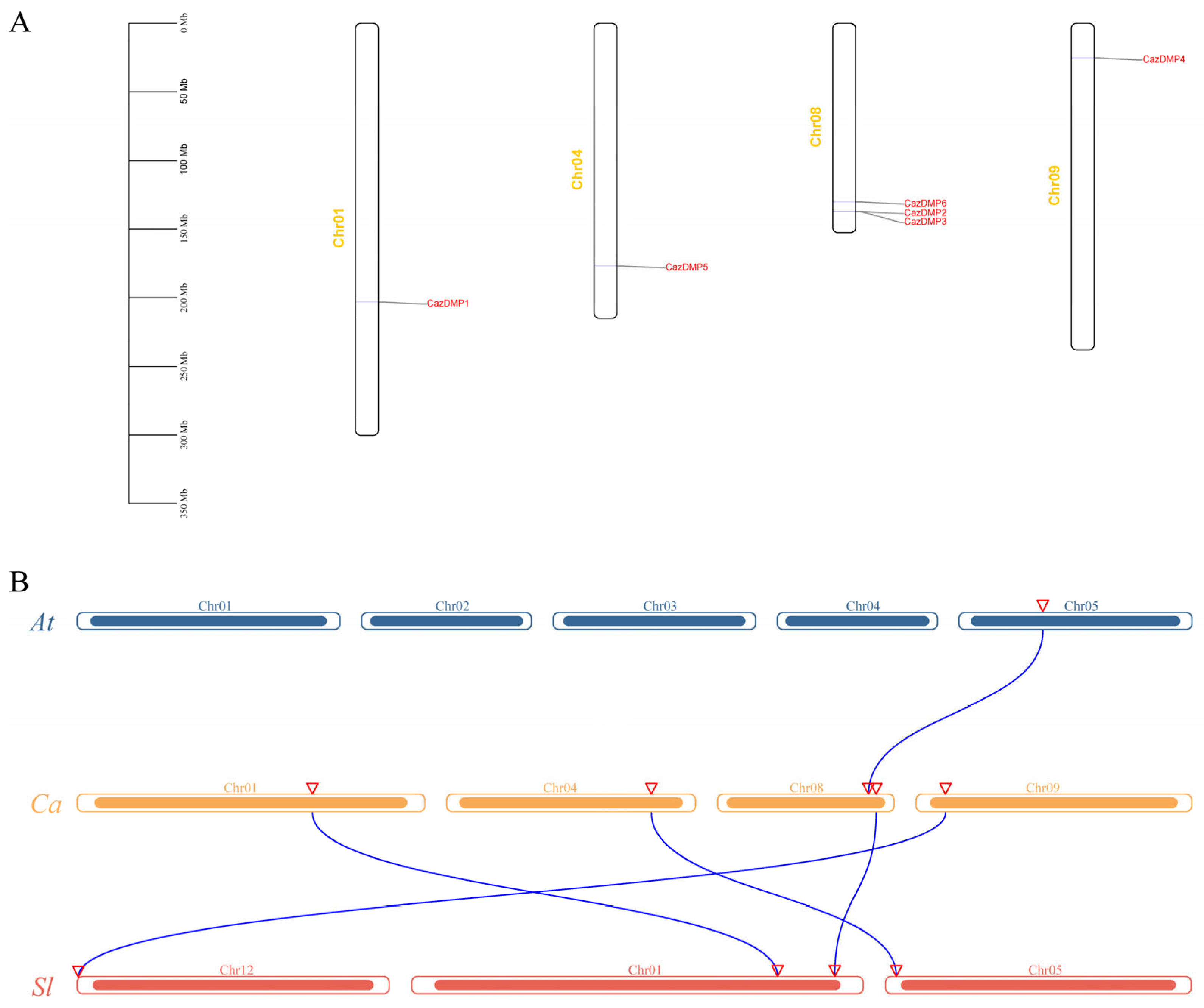 Horticulturae 10 00679 g003