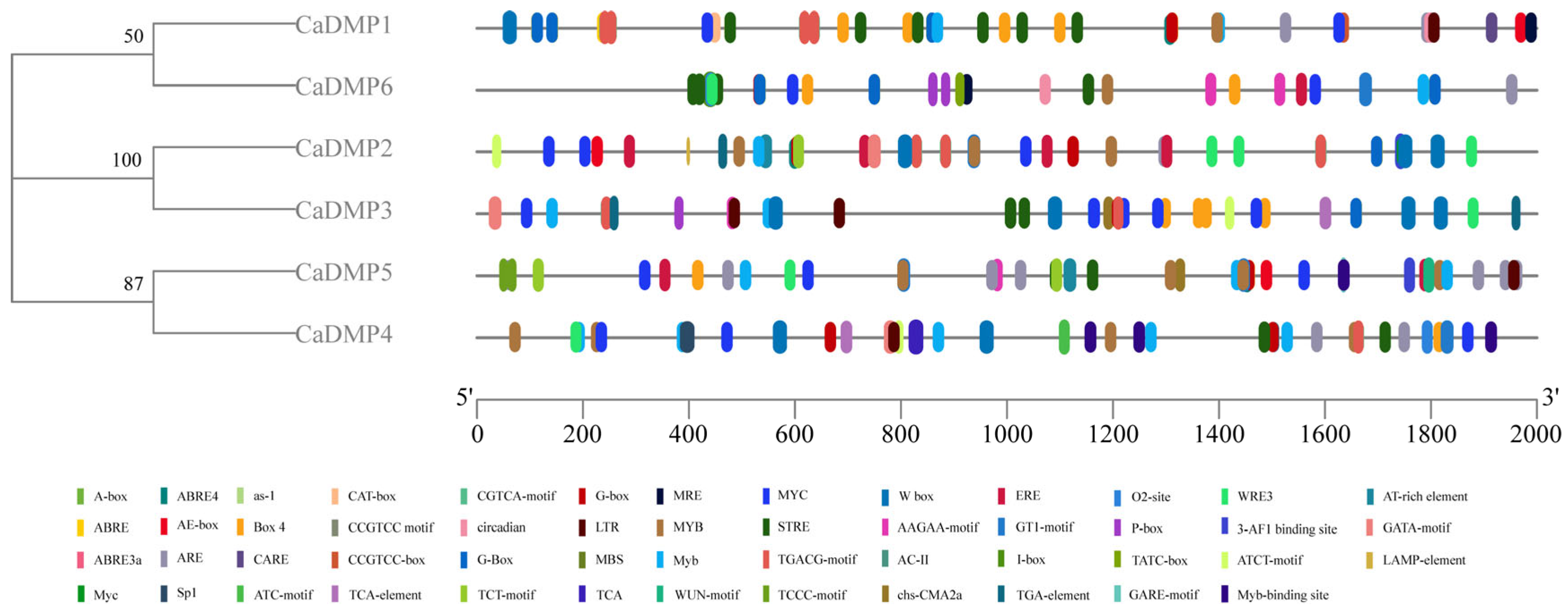 Horticulturae 10 00679 g004