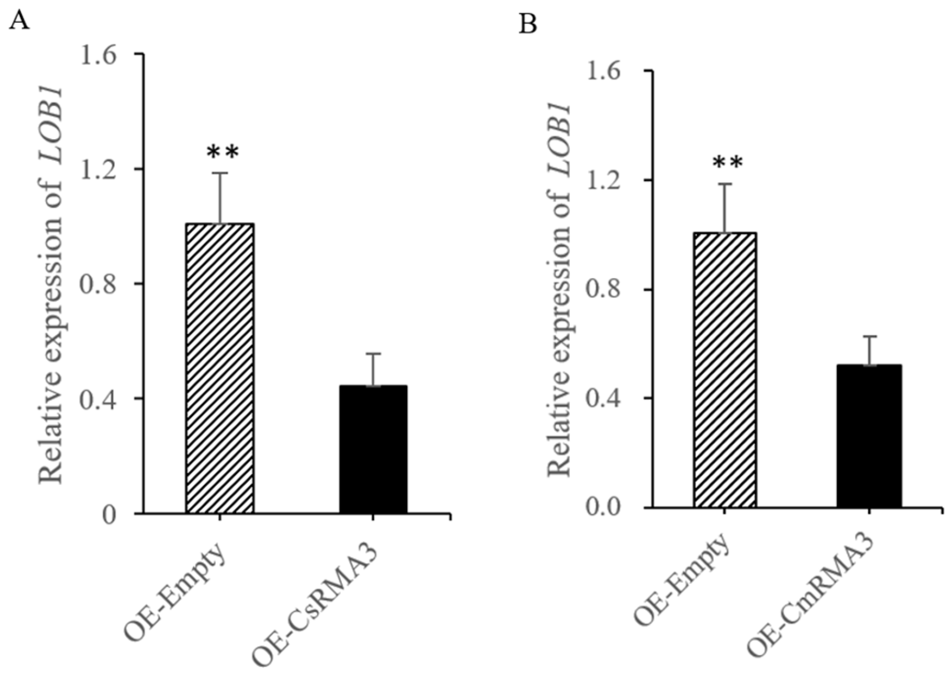 Horticulturae 10 00693 g008