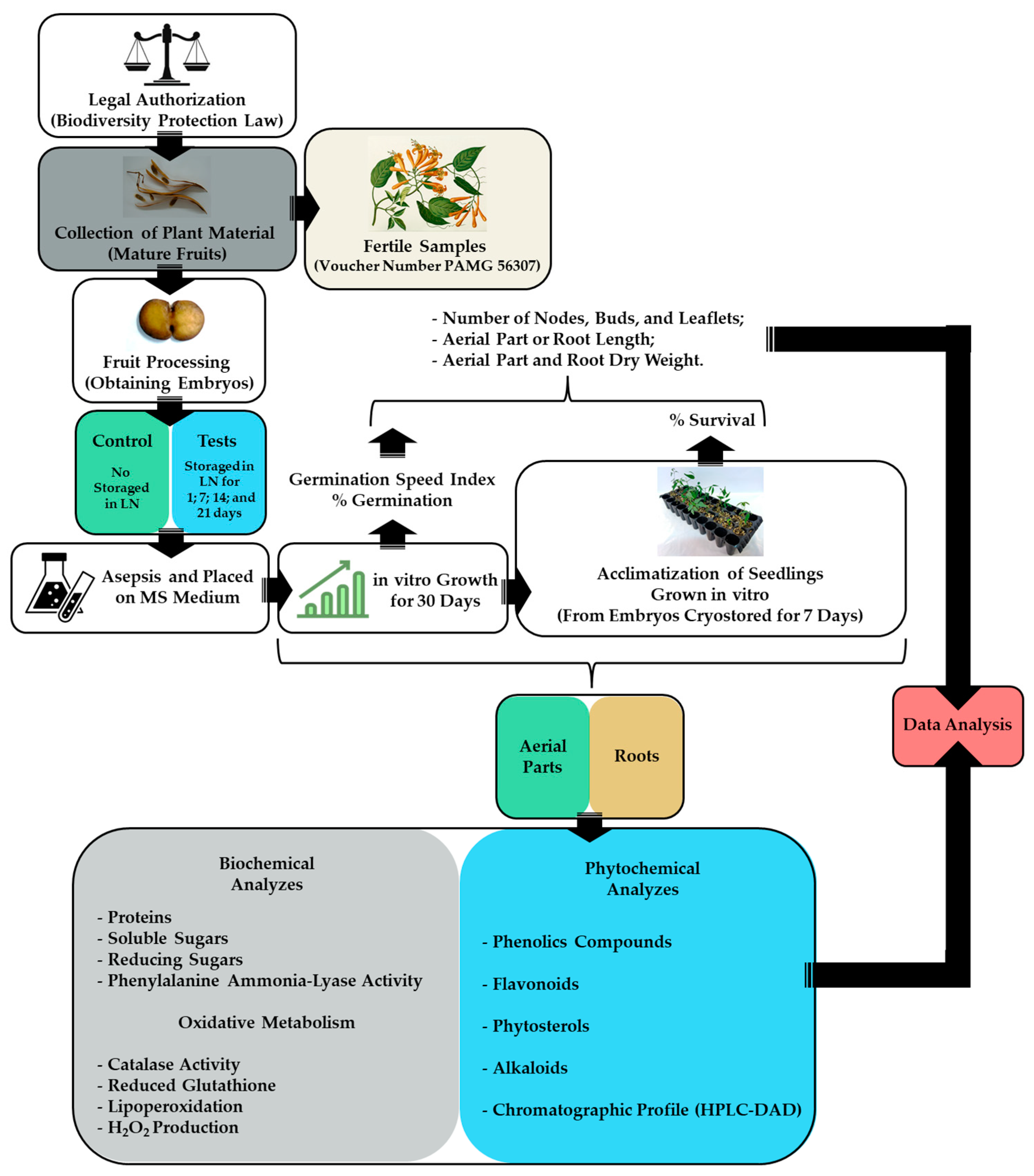 Horticulturae 10 00695 g001