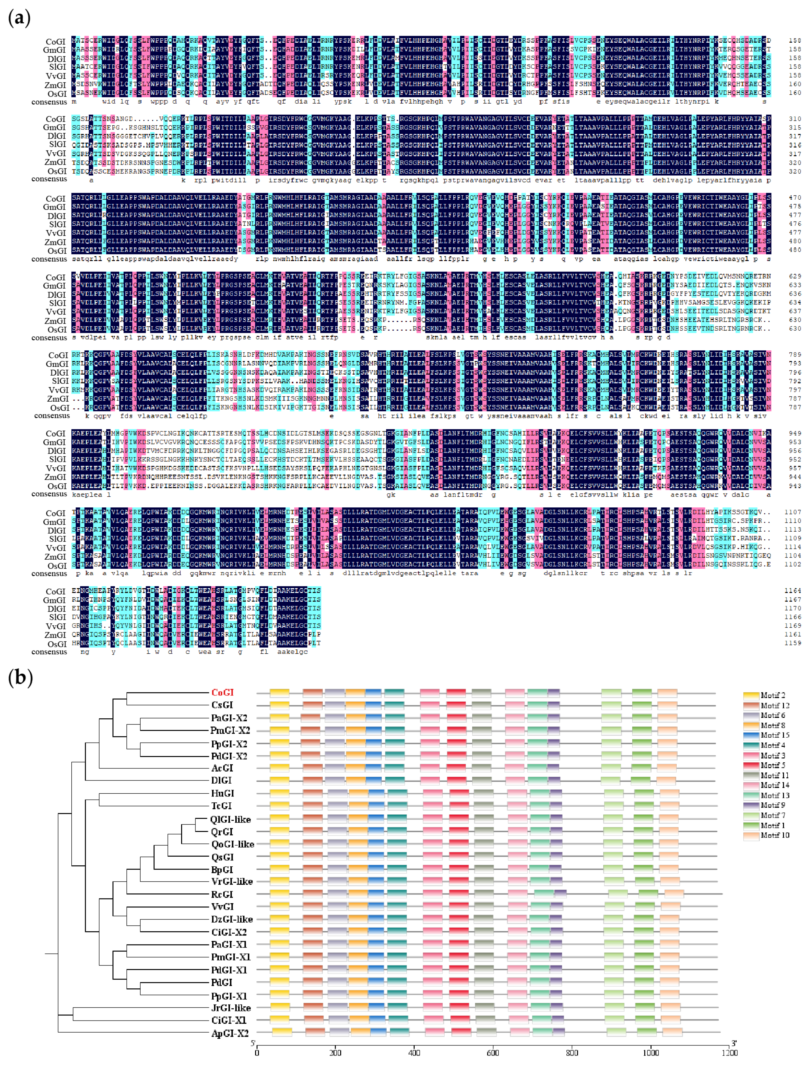Horticulturae 10 00715 g002 Horticulturae 10 00715 g002