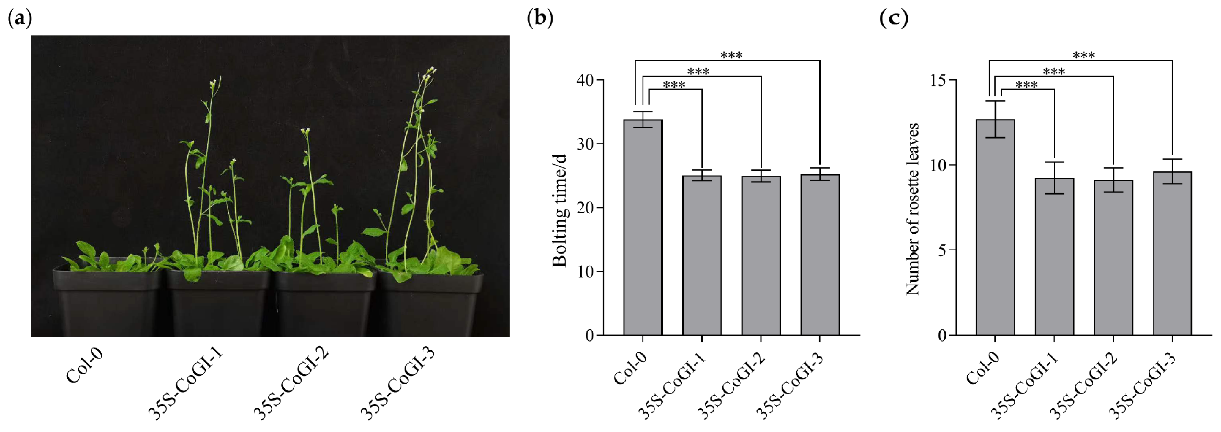 Horticulturae 10 00715 g004 Horticulturae 10 00715 g004