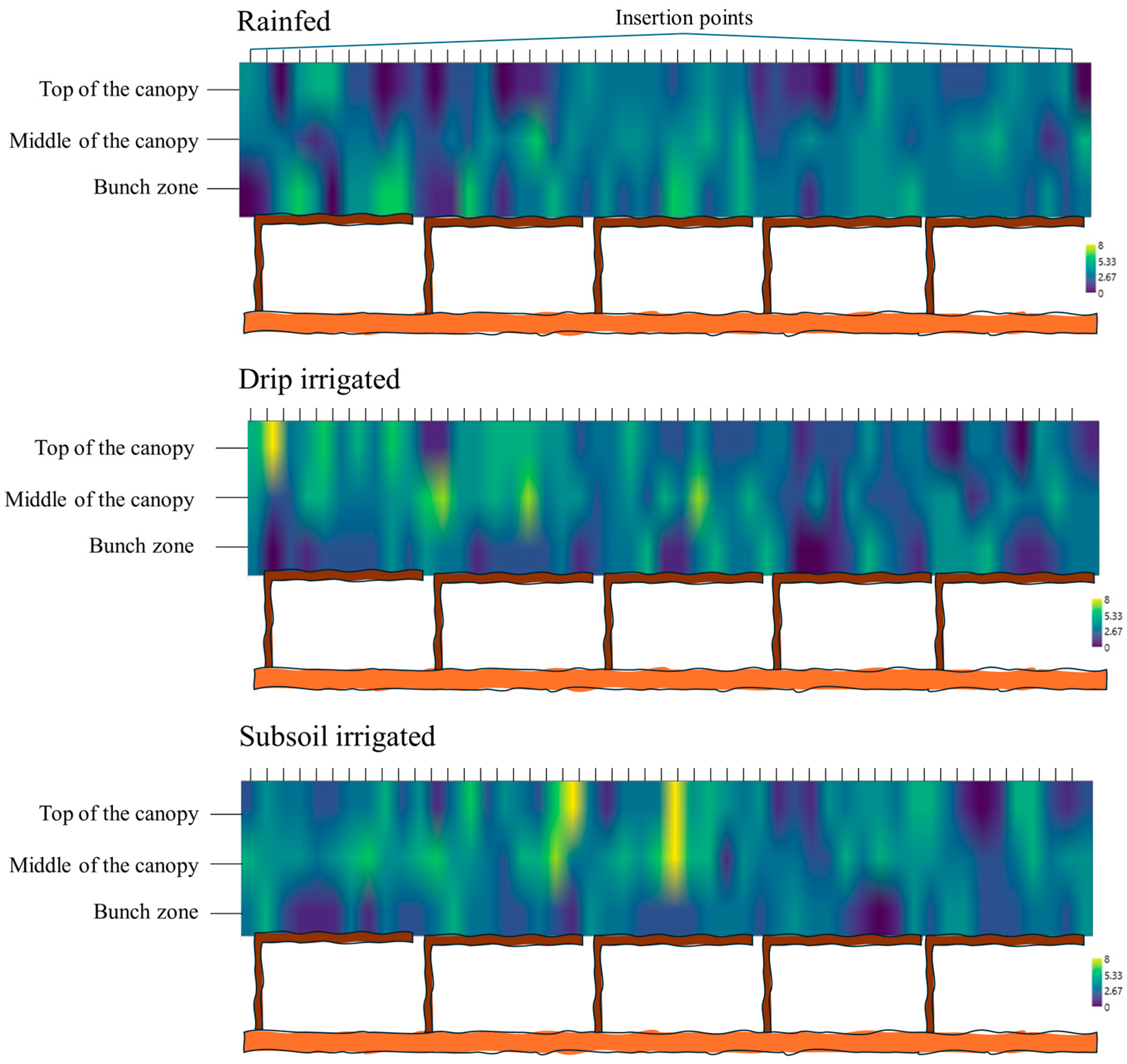 Horticulturae 10 00716 g005 Horticulturae 10 00716 g005