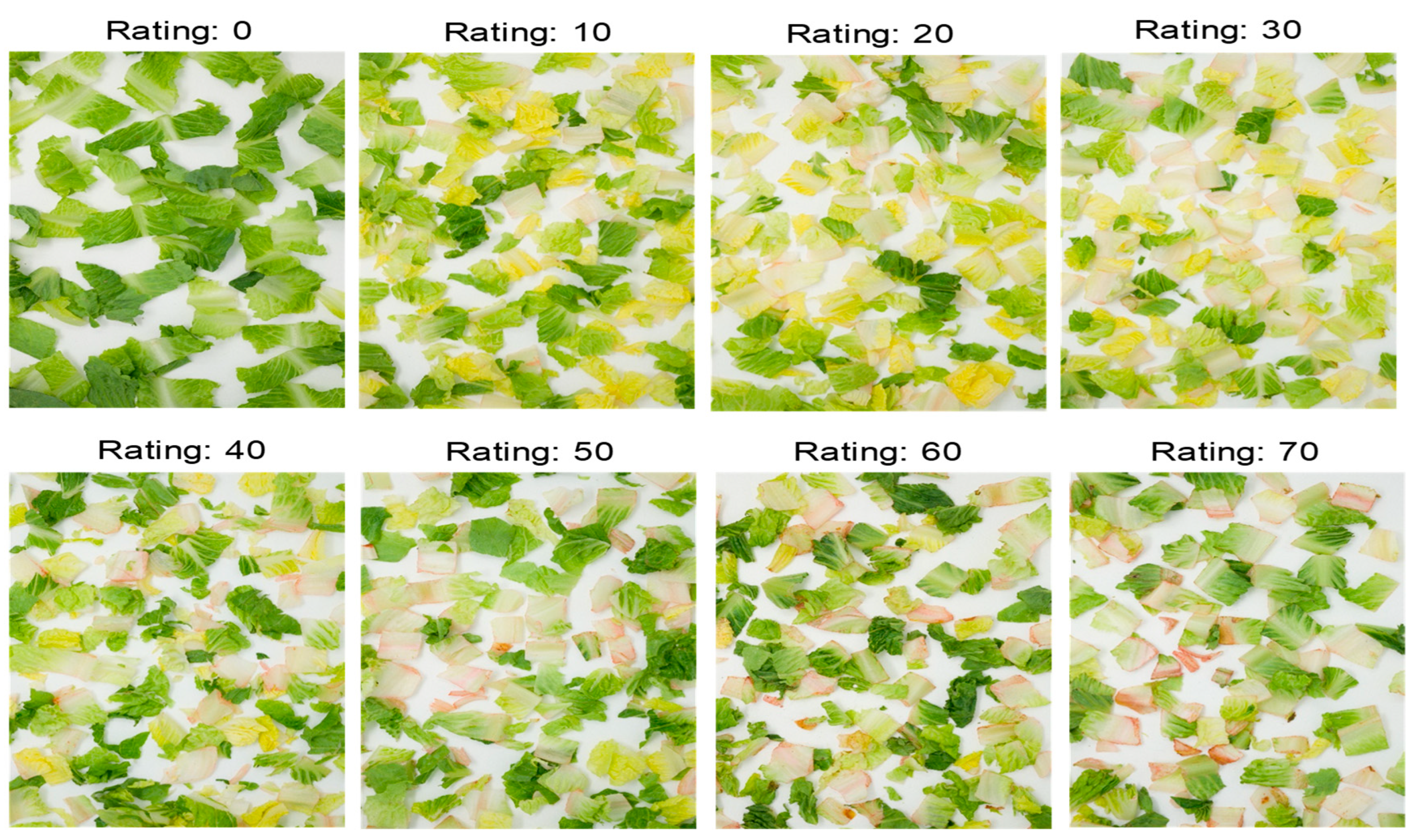 Horticulturae 10 00731 g002 Horticulturae 10 00731 g002