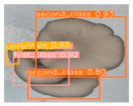 Horticulturae 10 00742 i002