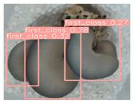 Horticulturae 10 00742 i003