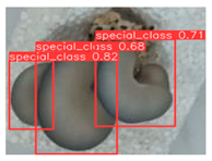 Horticulturae 10 00742 i004