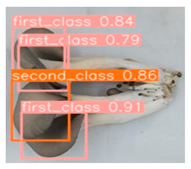 Horticulturae 10 00742 i005