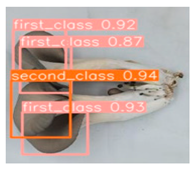 Horticulturae 10 00742 i006