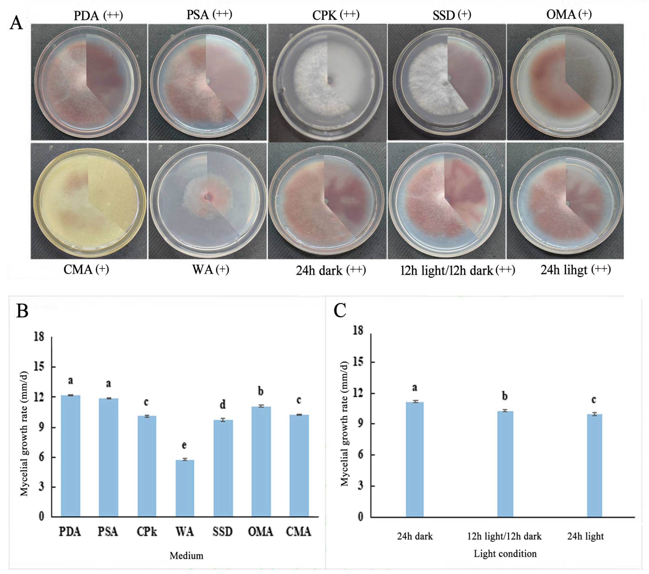 Horticulturae 10 00771 g007