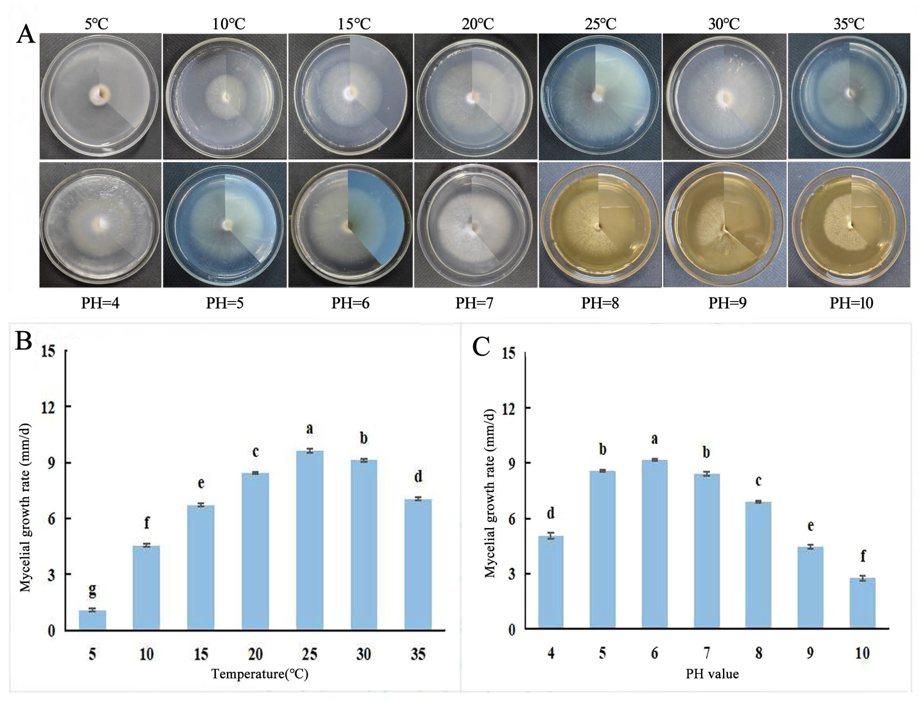 Horticulturae 10 00771 g008