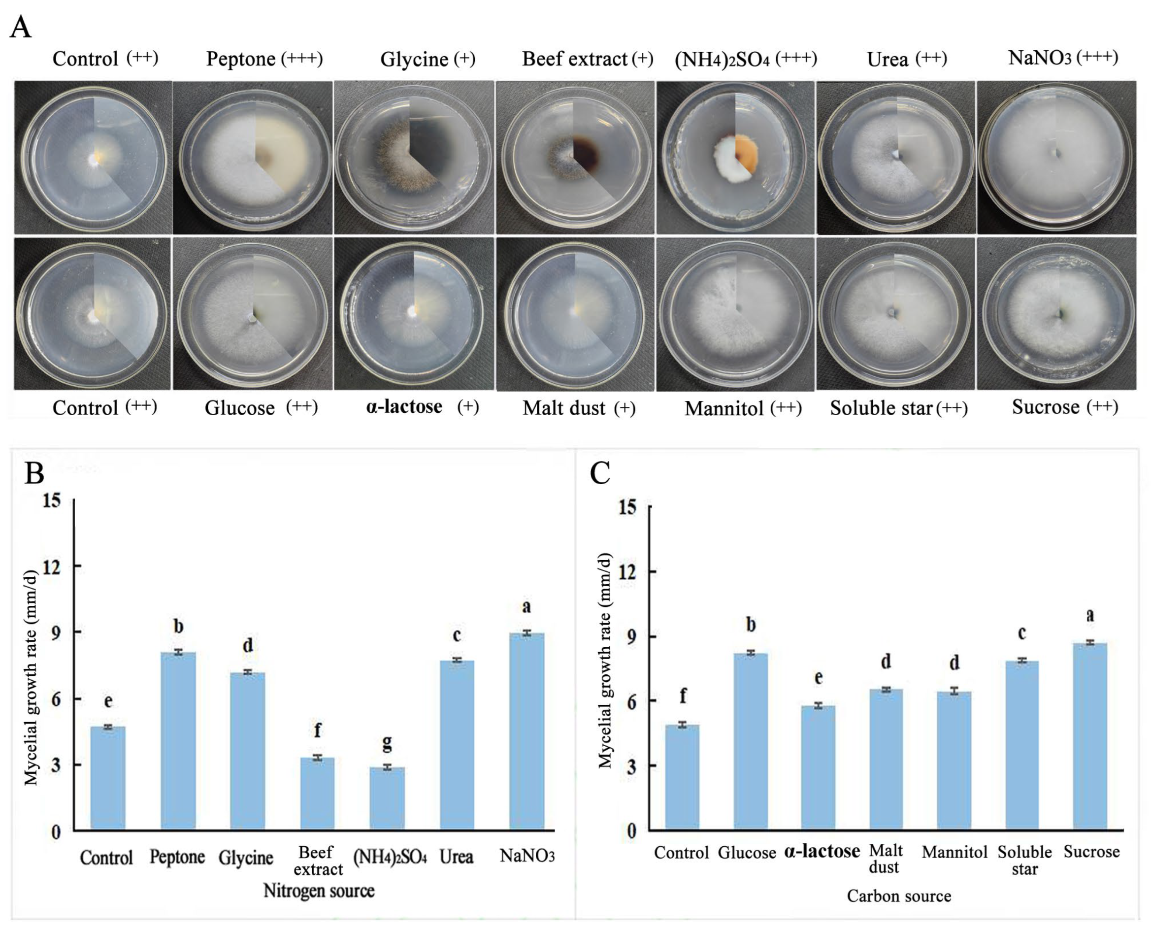 Horticulturae 10 00771 g010