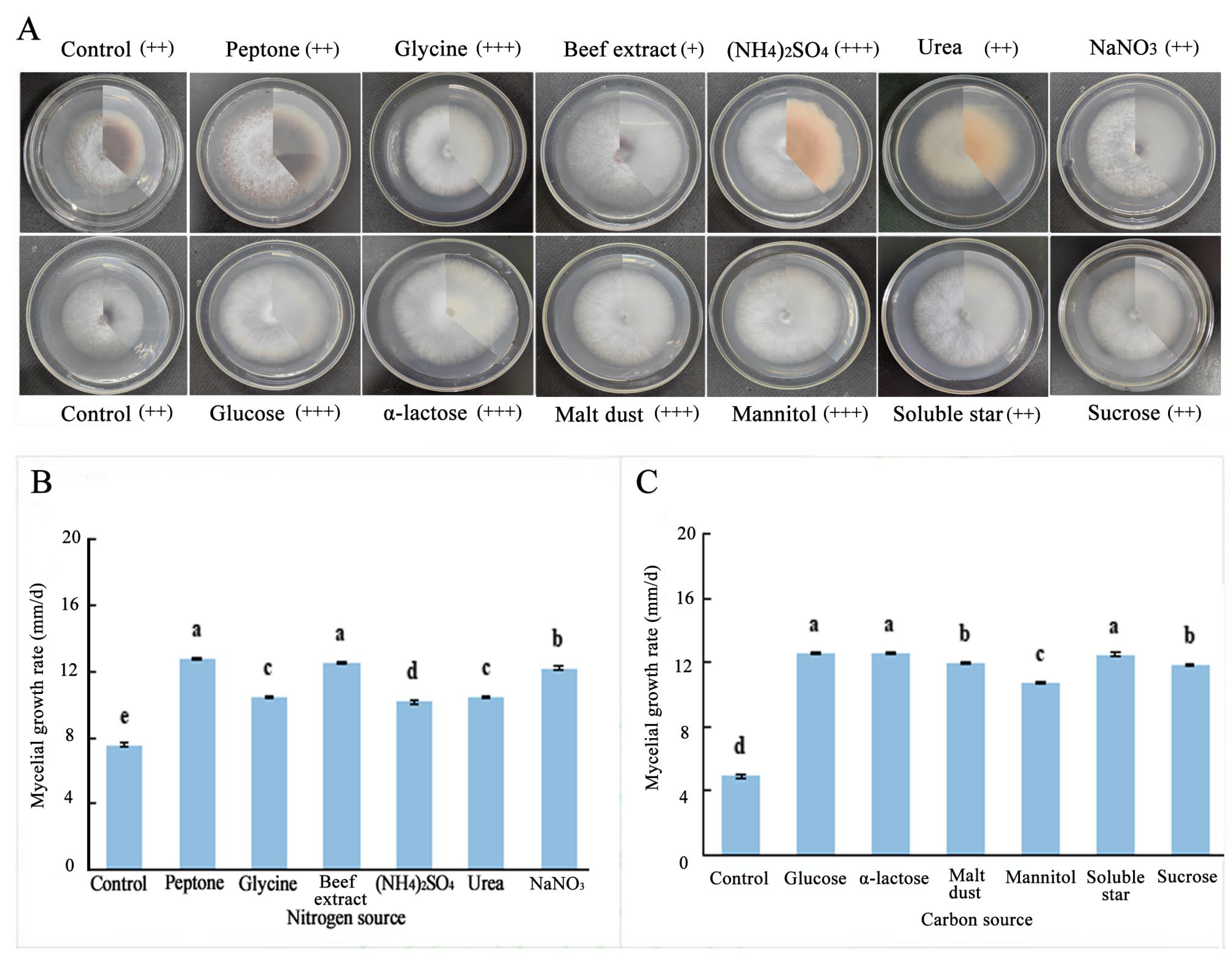 Horticulturae 10 00771 g011
