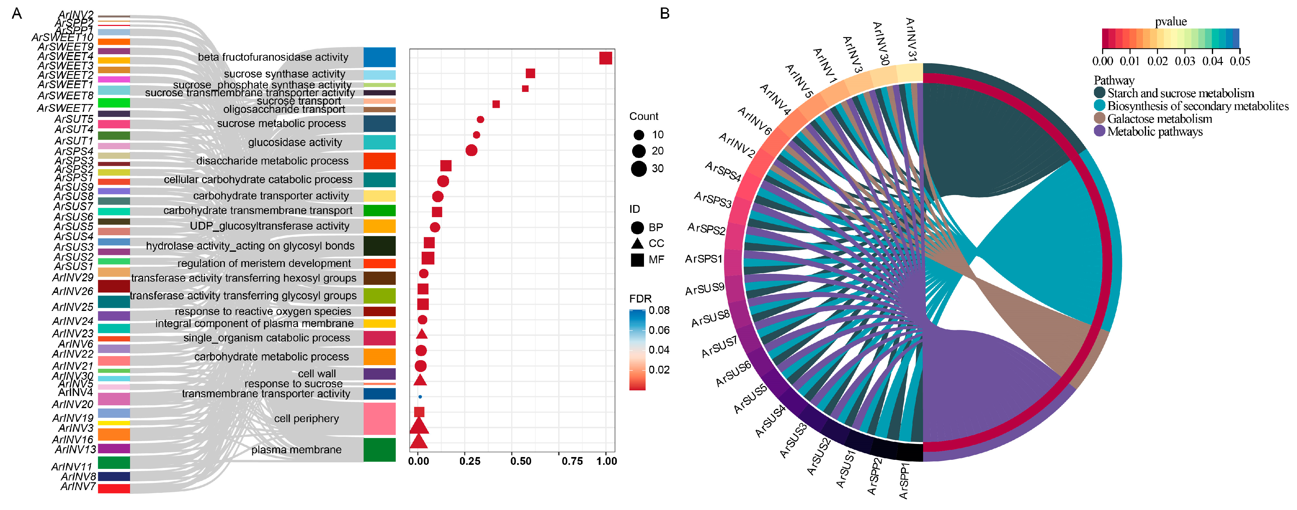 Horticulturae 10 00772 g005